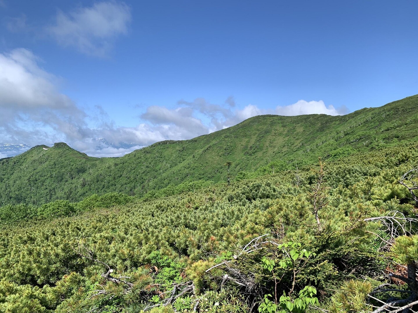 武華山 / パル山の会 の山さんの武利岳・武華山の活動データ YAMAP / ヤマップ