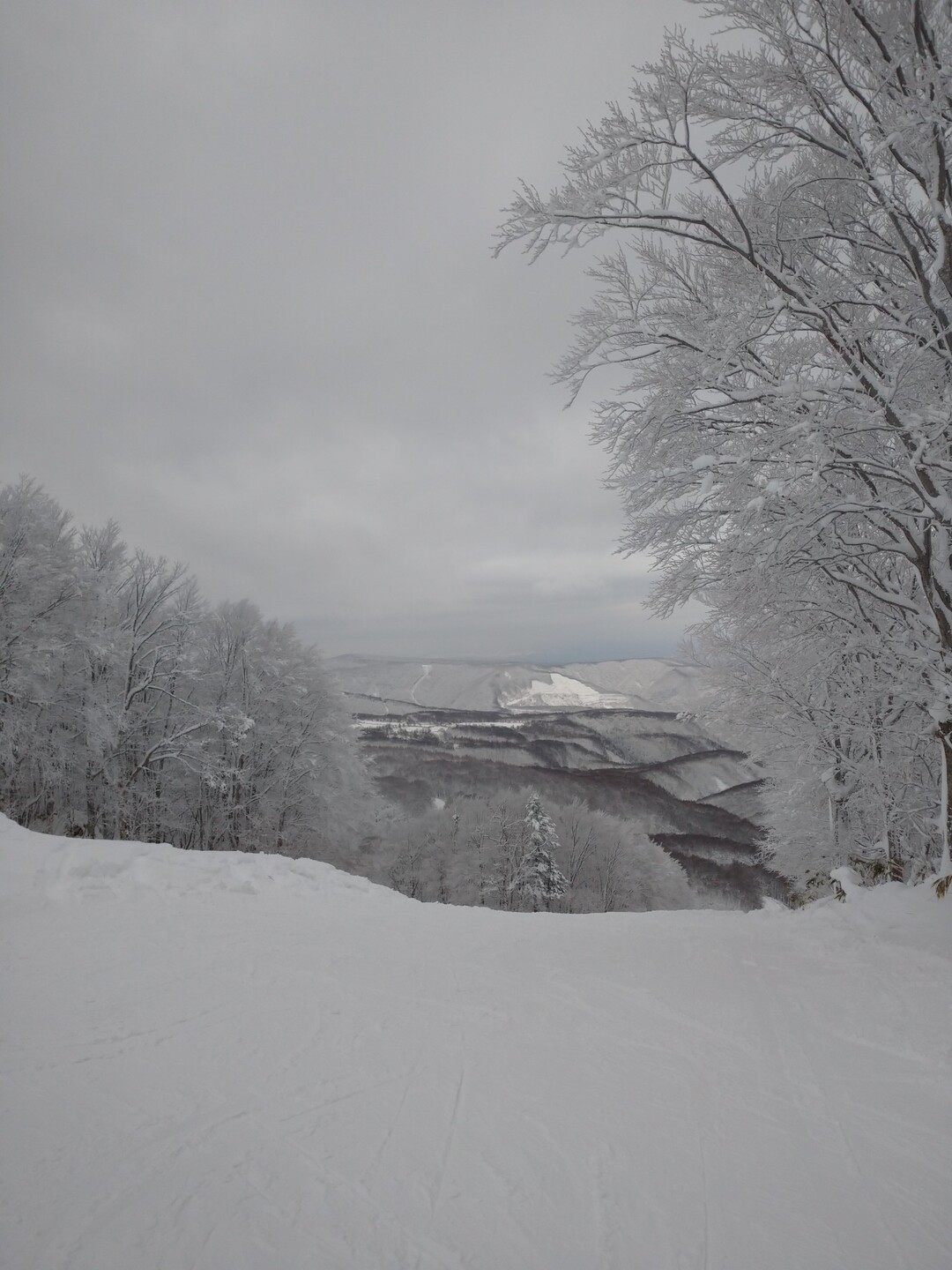 眠気に悩まされた八甲田 八甲田山 高田大岳 雛岳の写真6枚目 寝たら死ぬぞーー Yamap ヤマップ