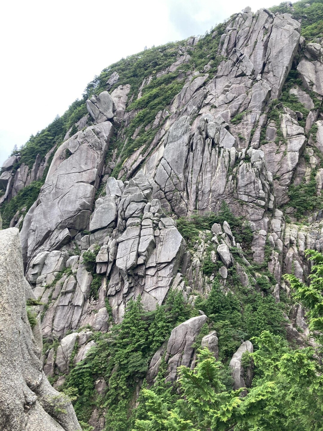 【御在所岳】藤内壁前尾根 / DaishiNo1さんの御在所岳（御在所山）・雨乞岳の活動データ YAMAP / ヤマップ