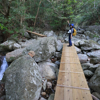 行縢山 橋は、ワイヤーでしっかり固定されています