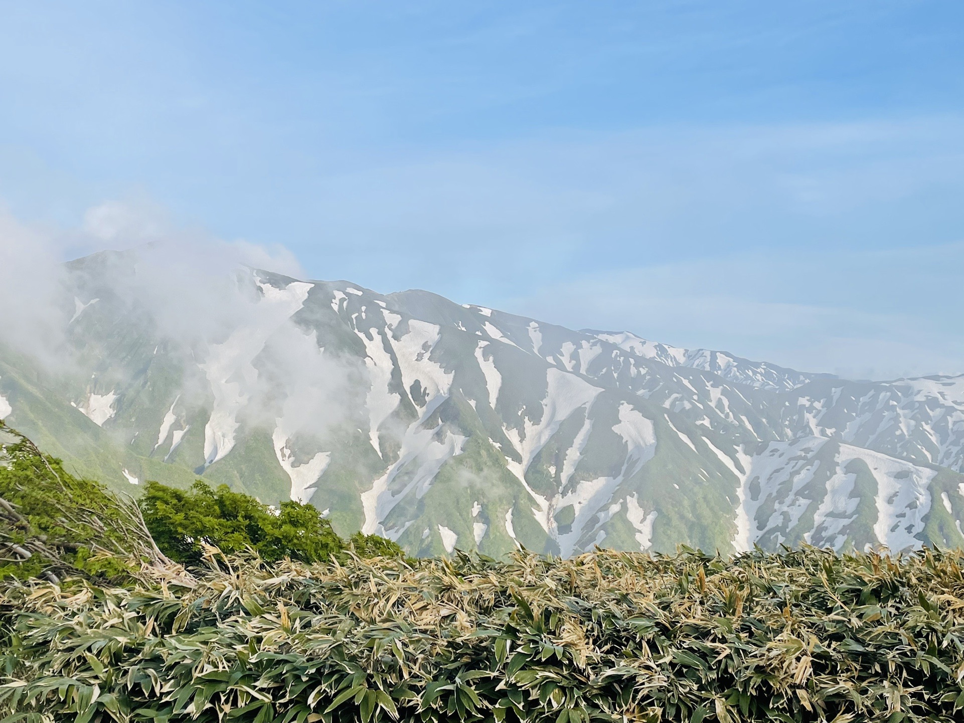 ずっと見ていられる。