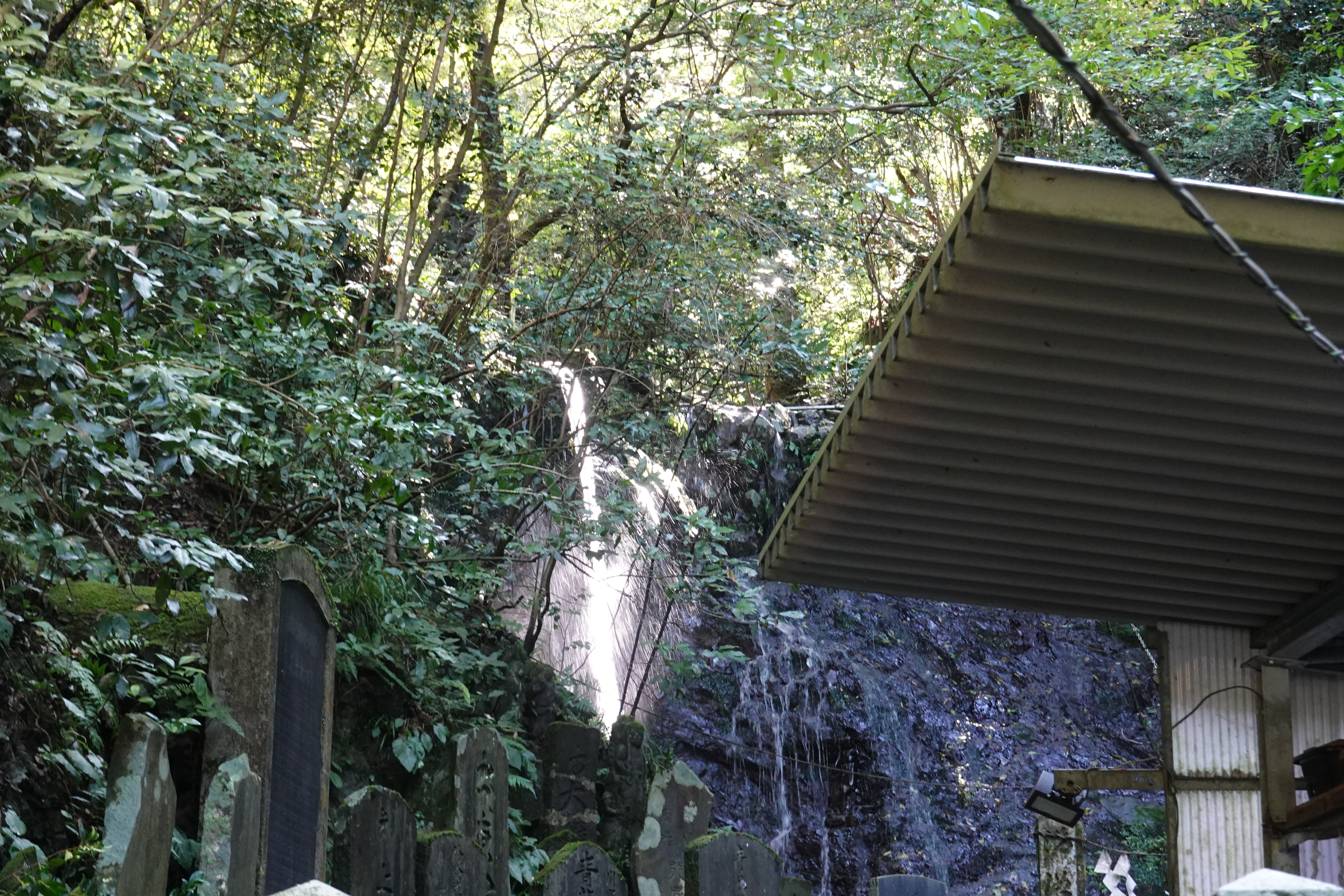 高尾山 高尾梅郷遊歩道 蛇滝 2 4号路 6号路 きままにゆるりと過ごし中さんの高尾山 陣馬山 景信山の活動データ Yamap ヤマップ