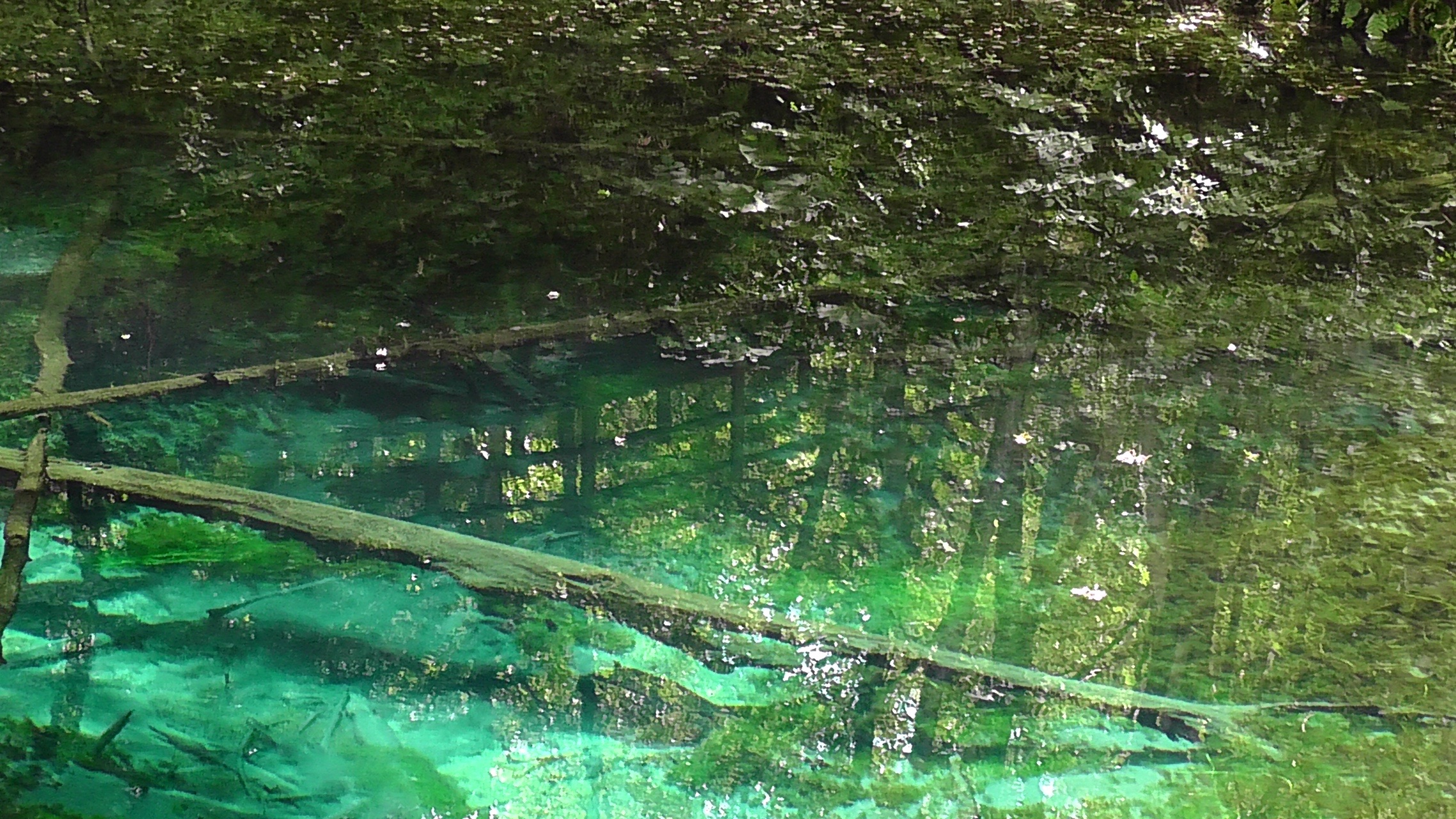 碧い裏摩周 緑の神の子池 西別川の梅花藻を観に行こう しもまっちさんの摩周岳 カムイヌプリ 西別岳の活動データ Yamap ヤマップ