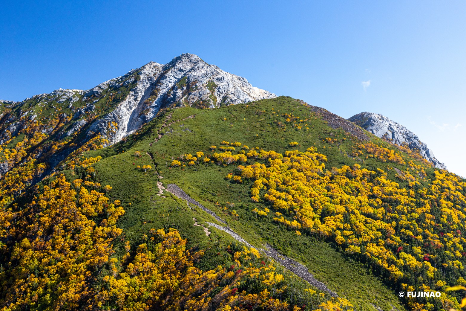 紅葉 甲斐駒 仙丈ヶ岳 テント泊 ふじなおさんの仙丈ヶ岳 伊那荒倉岳の活動データ Yamap ヤマップ