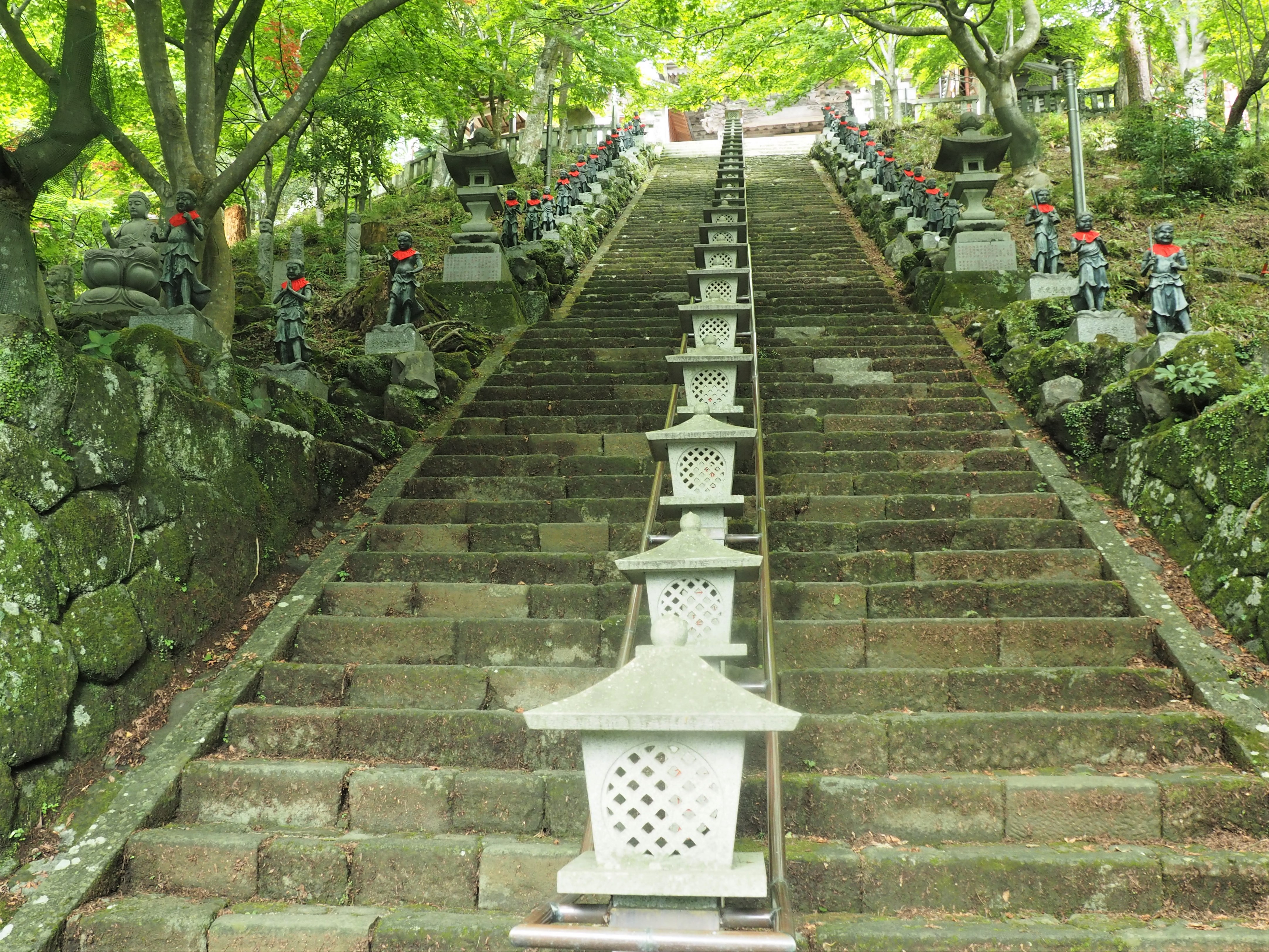 夏真っ盛り 大山詣 まっとさんの大山の活動データ Yamap ヤマップ