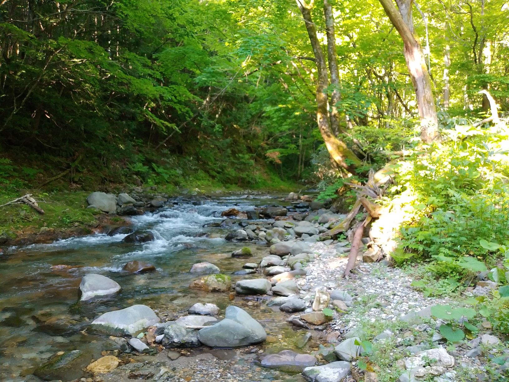志戸前川20200531 / 岩手八幡平山岳ガイド遭難対策班さんの須賀倉山の活動データ YAMAP / ヤマップ