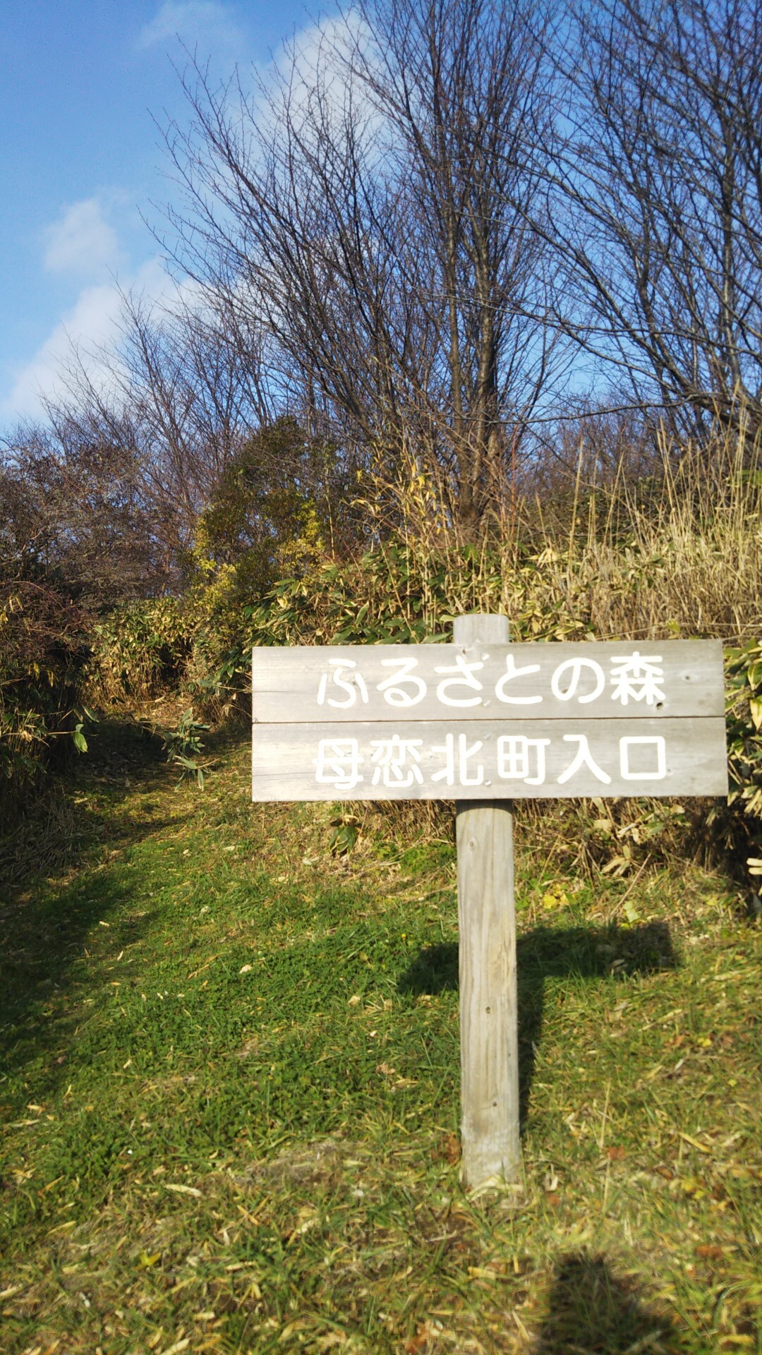 母恋富士 / まっきーさんの測量山・母恋富士の活動データ YAMAP / ヤマップ