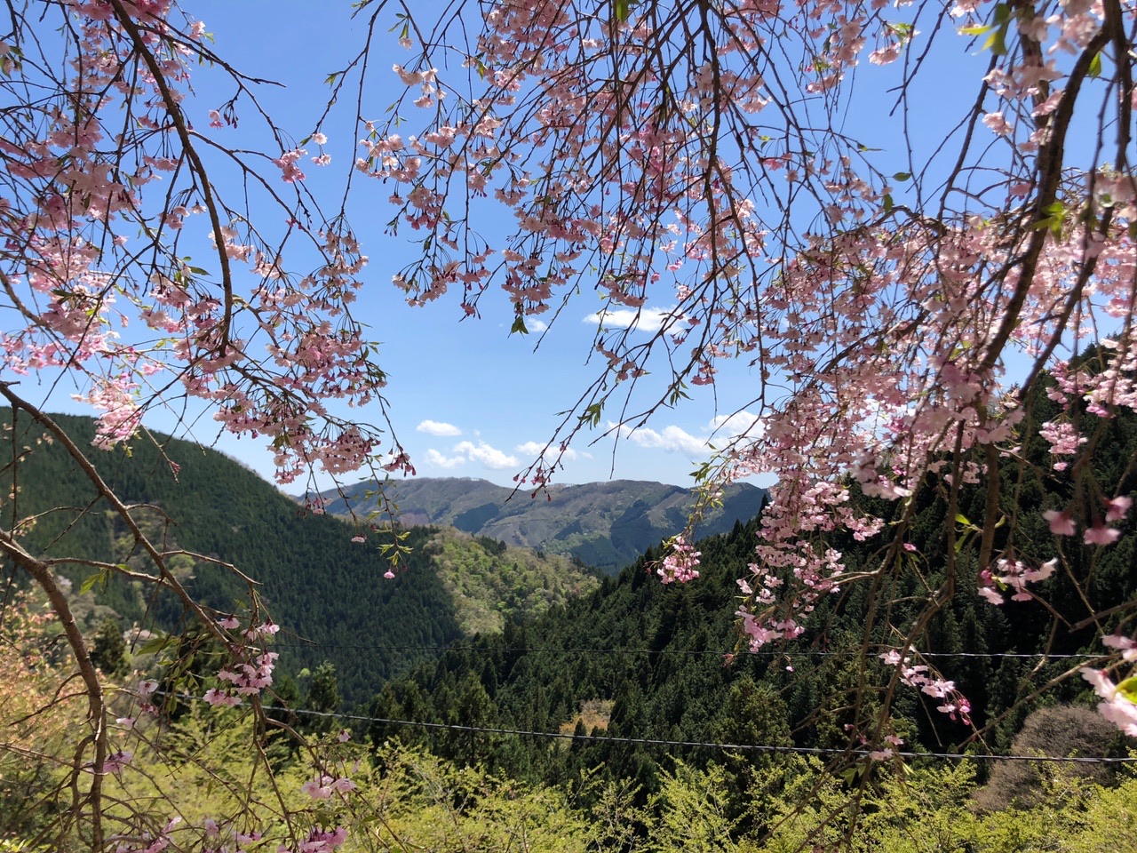 無料のモノレールが楽しい重要文化財小林家住宅 檜原村 小河内峠 いちろうさんの大岳山 御岳山 御前山の活動データ Yamap ヤマップ