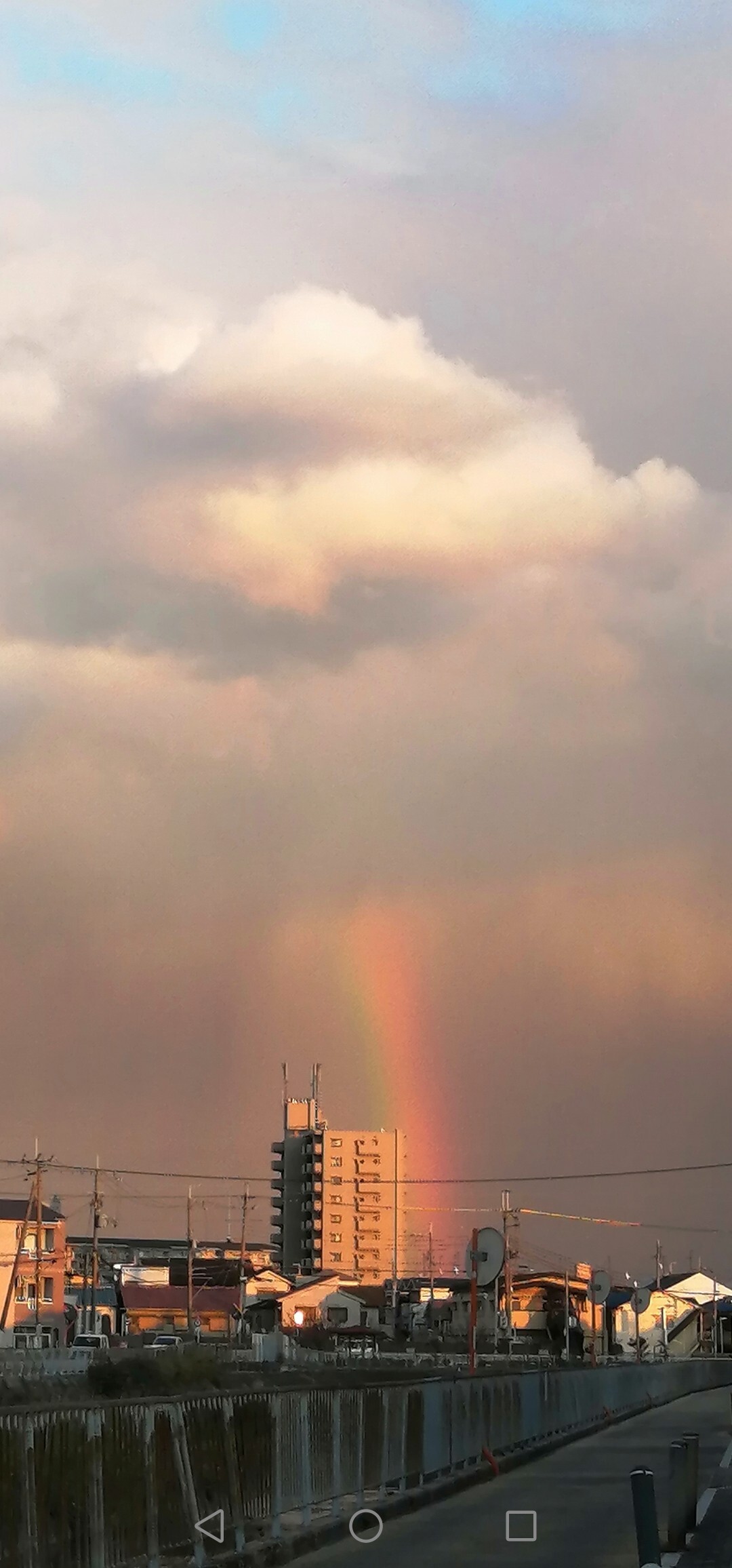 帰り道 虹 が見れました 縦の部分だけ えりちゃんさんのモーメント Yamap ヤマップ