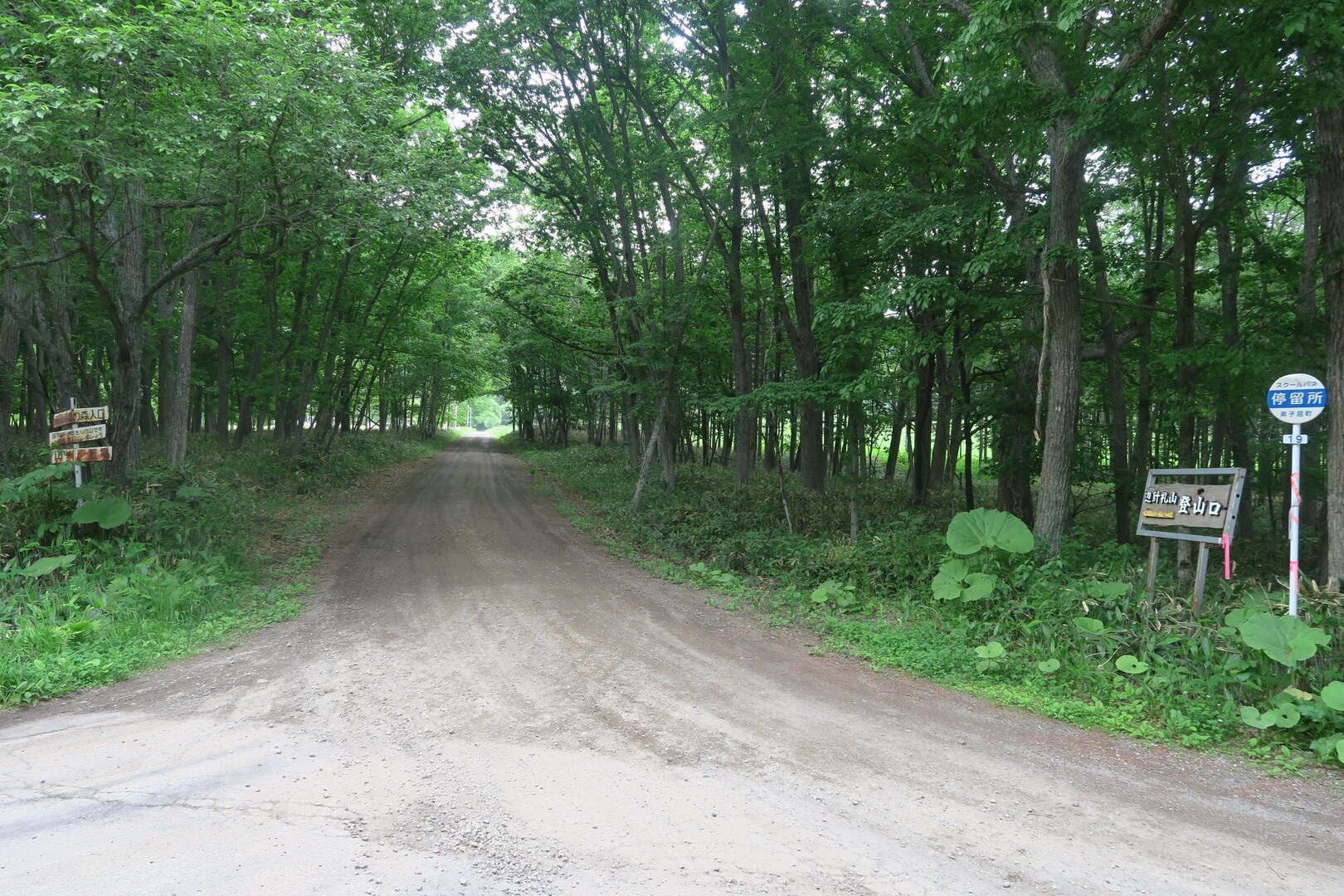 辺計礼山 / とりむねさんの辺計礼山の活動データ YAMAP / ヤマップ