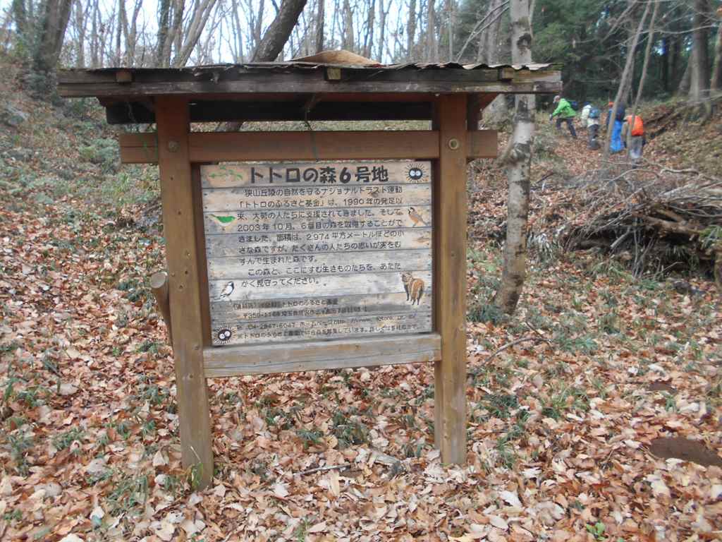 会山行 ３０８狭山丘陵 トトロの森 他 ノボフジさんの国分寺市の活動データ Yamap ヤマップ