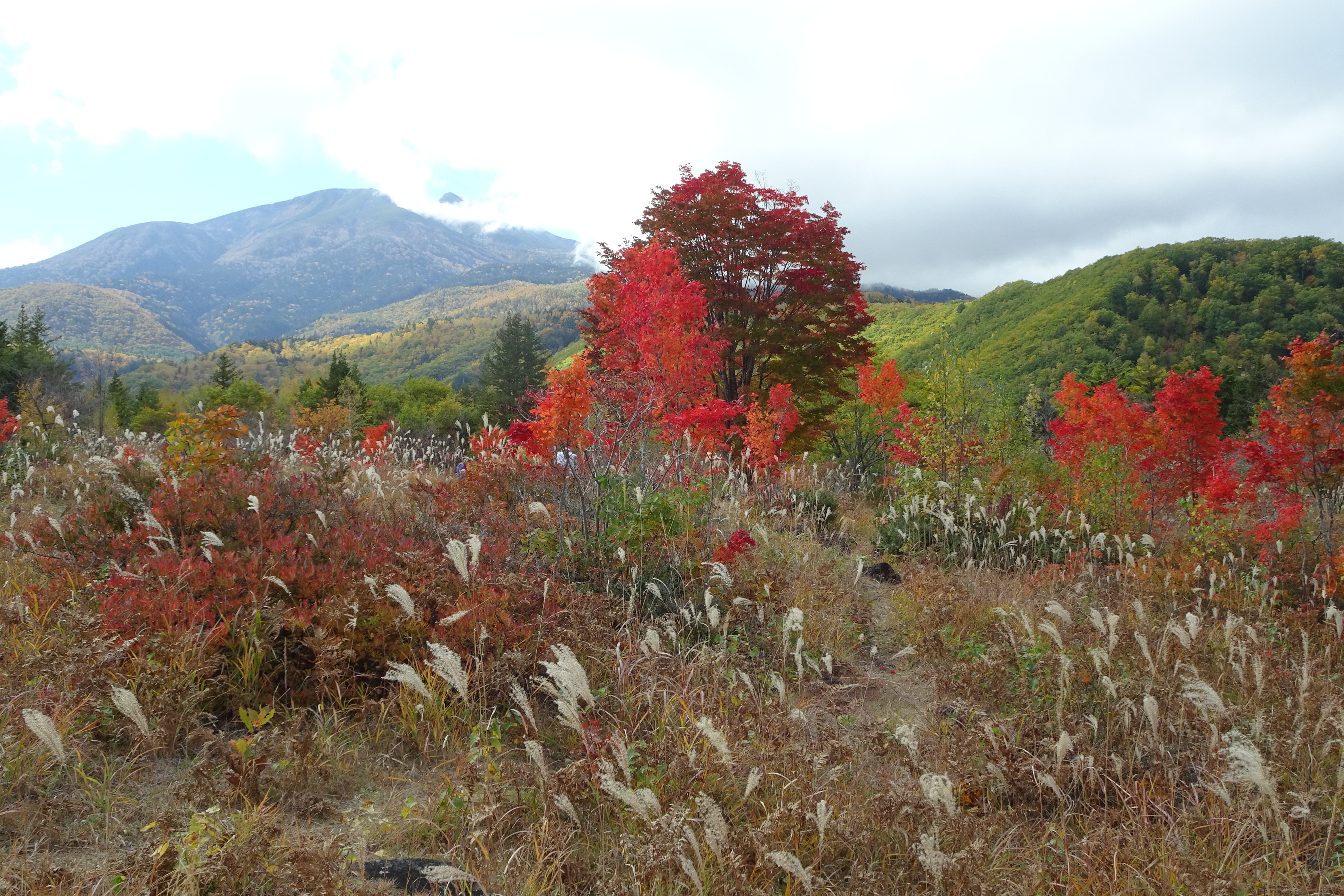 乗鞍高原 一の瀬園地紅葉 10 15 桃さんの乗鞍岳の活動データ Yamap ヤマップ