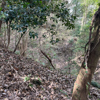 飯塚市 右も谷。