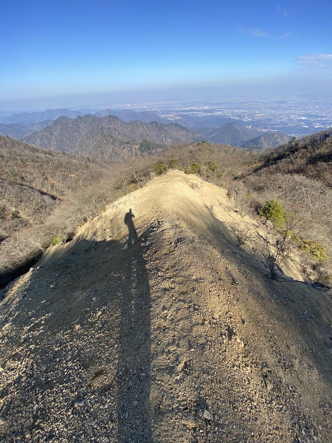 【大山満喫】梅ノ木尾根VR〜裸地尾根VR〜大山三峰 / 登山初心者さんの大山の活動データ | YAMAP / ヤマップ