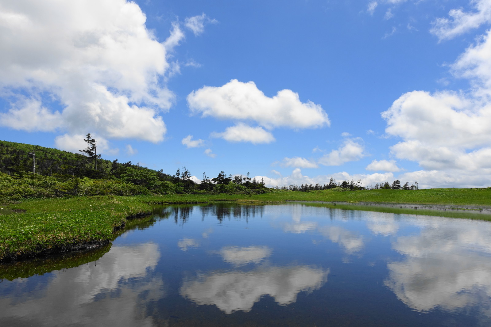 千沼ヶ原湿原 06 21 ヲサーンさんの乳頭山 湯森山 大白森の活動データ Yamap ヤマップ