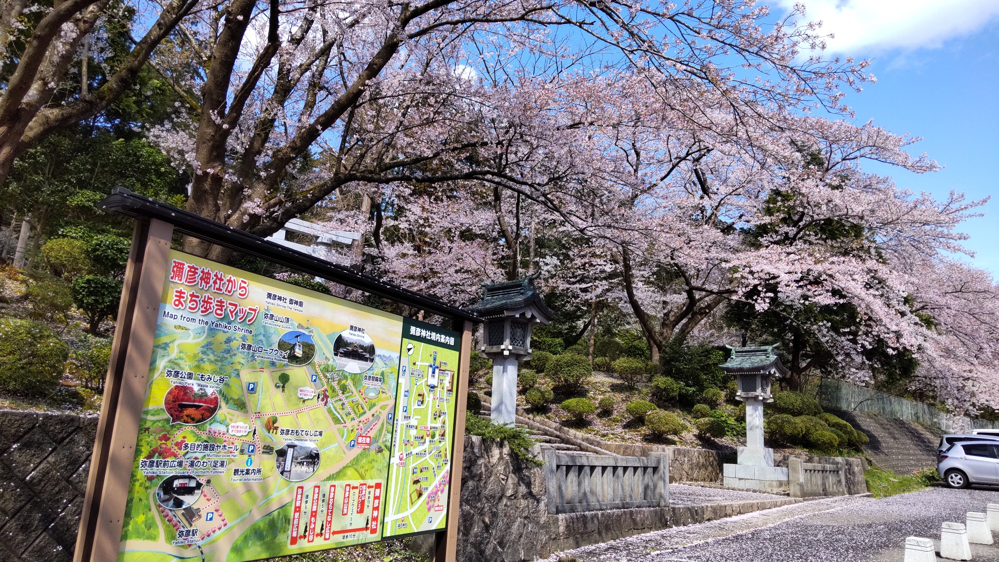 花より食い気の弥彦山 やまりさんの弥彦山 多宝山 雨乞山の活動日記 Yamap ヤマップ