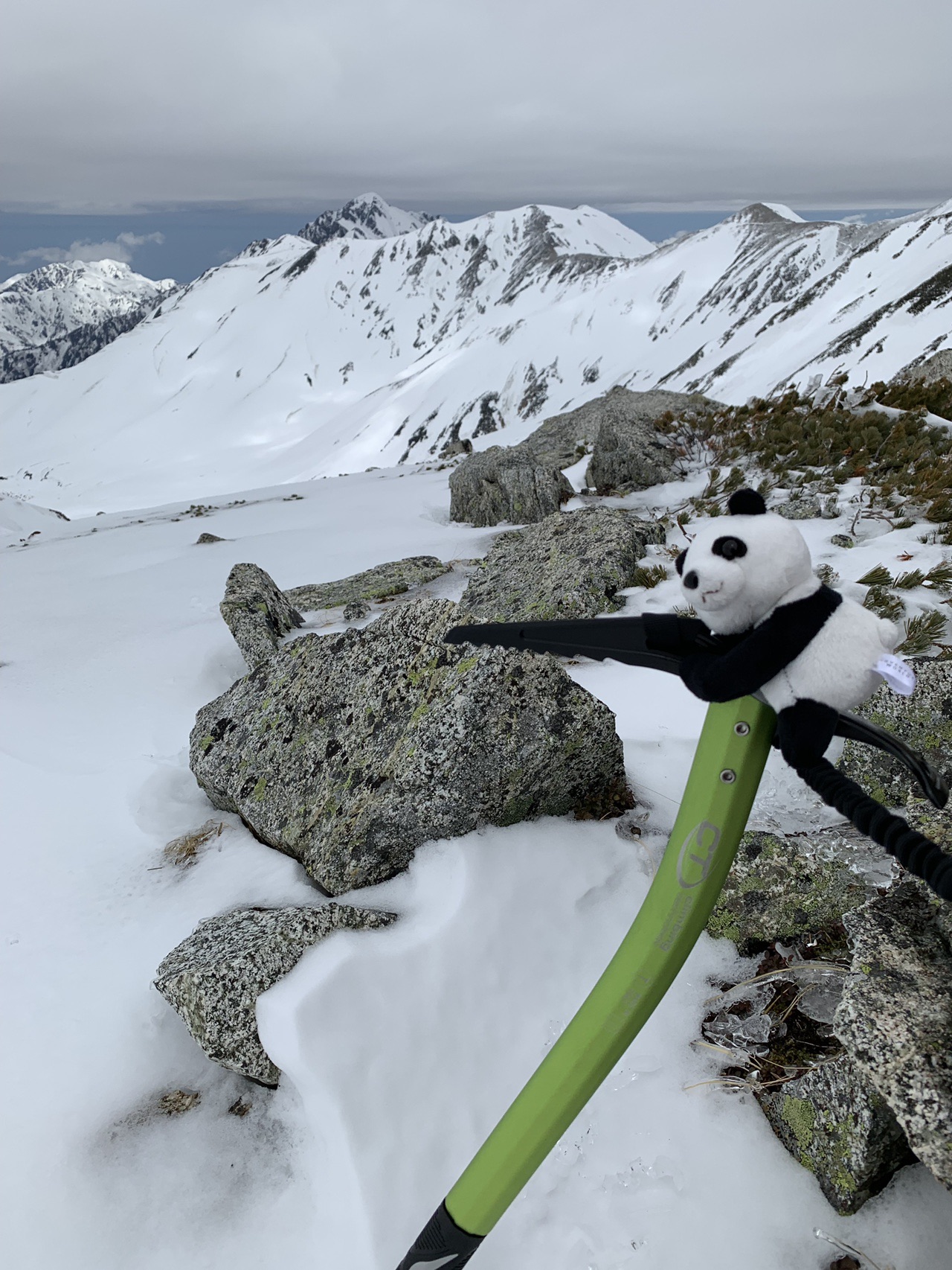 平成最終登山は雷鳥天国へ まるさんの立山 雄山 浄土山の活動データ Yamap ヤマップ