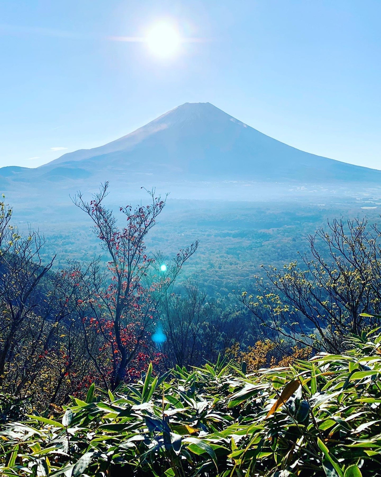 竜ヶ岳 富士山を見ながら せんちょうさんの毛無山 山梨県 静岡県 雨ヶ岳 竜ヶ岳の活動日記 Yamap ヤマップ