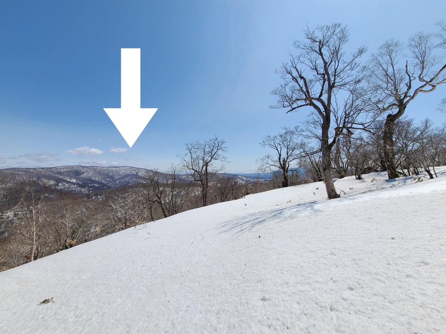 いよいよ 4月7日、県道171号線の冬季... / いわて純情偽むすめさんのモーメント YAMAP / ヤマップ