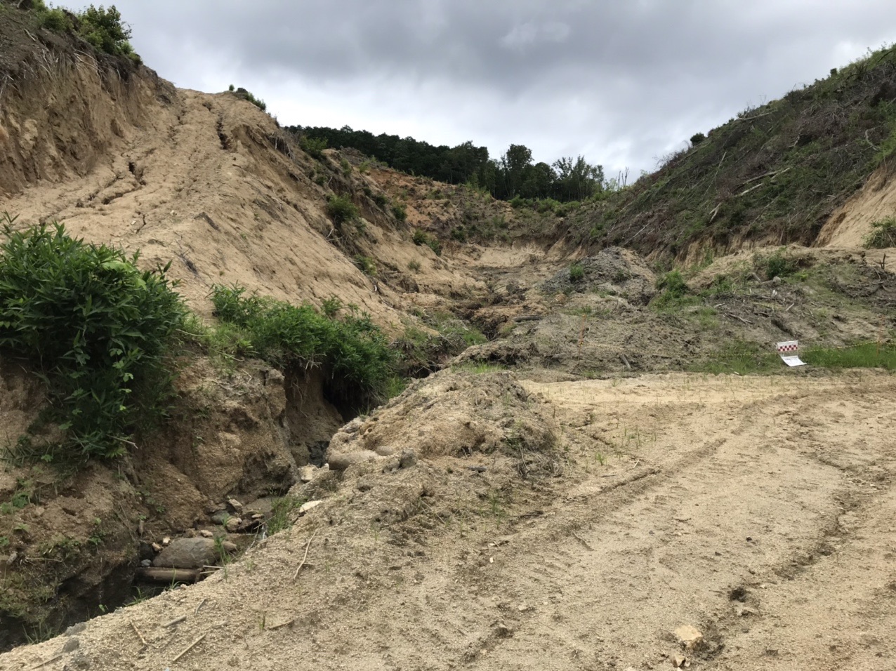 生駒山・神津嶽・大原山 かつては水田が広がっていたであろう谷。