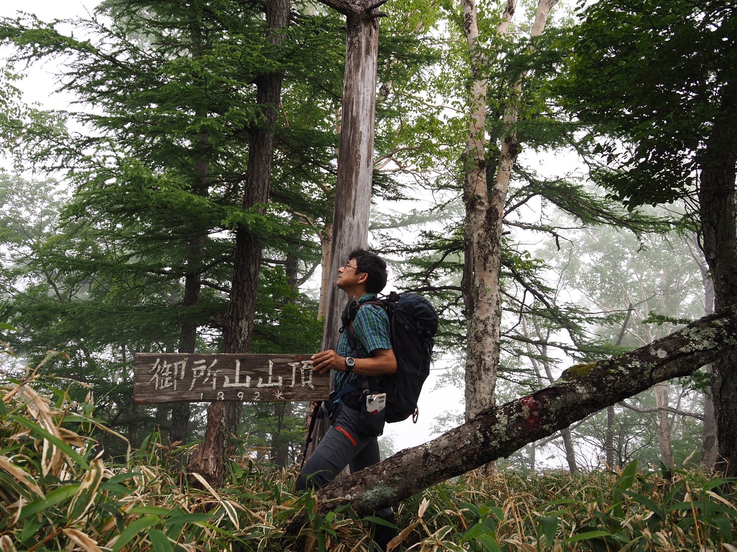 甘利山 奥甘利山 大西峰 御所山 千頭星山 ロッソスプライトさんの鳳凰山 地蔵岳 観音岳 薬師岳の活動日記 Yamap ヤマップ