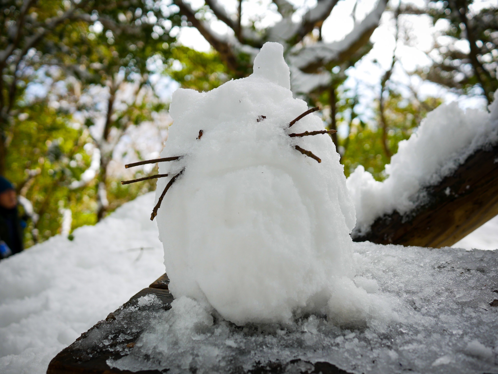 トトロに逢えた雪景色の筑波山 三人息子のママさんの筑波山の活動データ Yamap ヤマップ