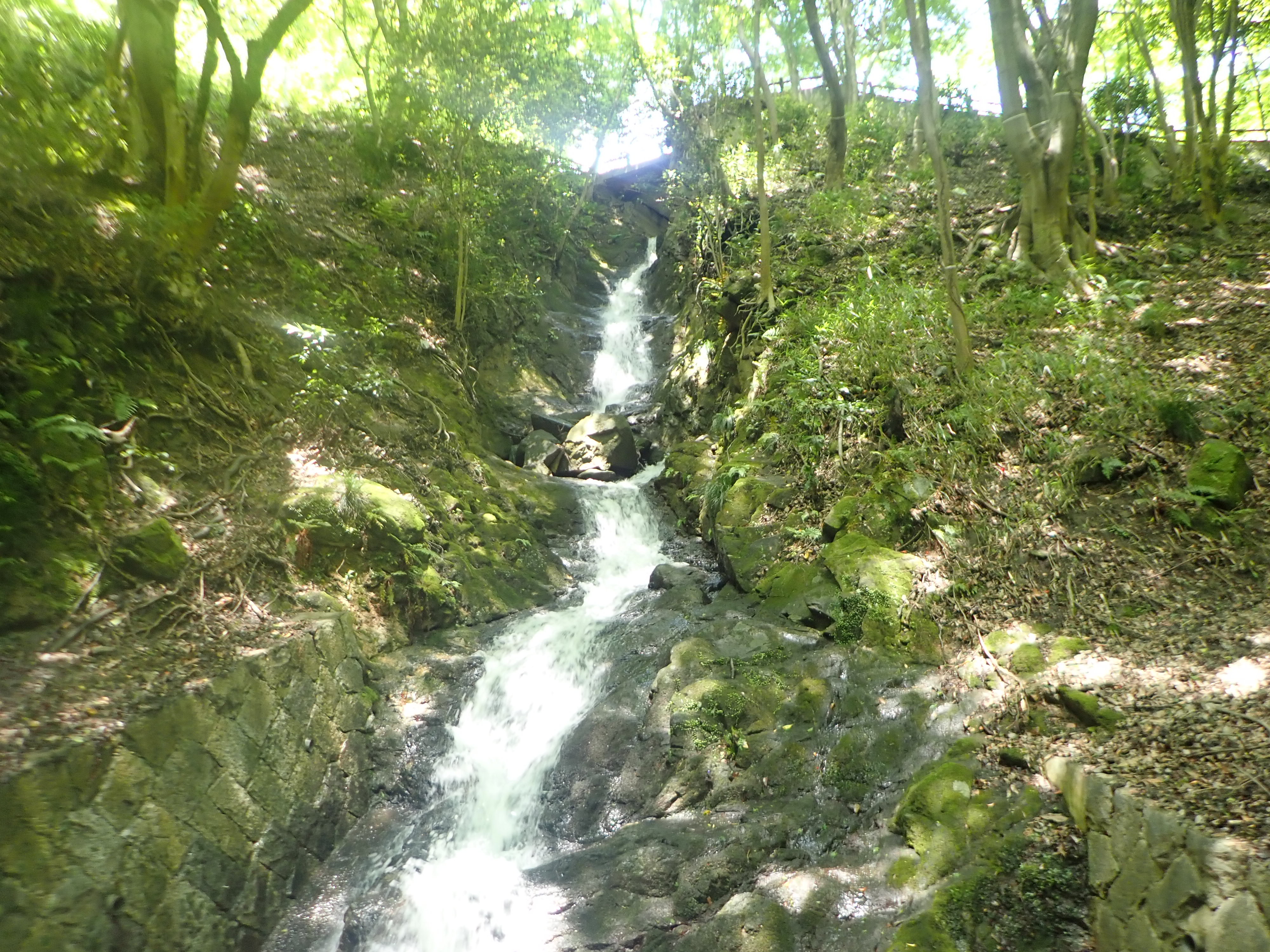 再度公園散策 ファミリーハイク みなべさんの六甲山 長峰山 摩耶山の活動日記 Yamap ヤマップ