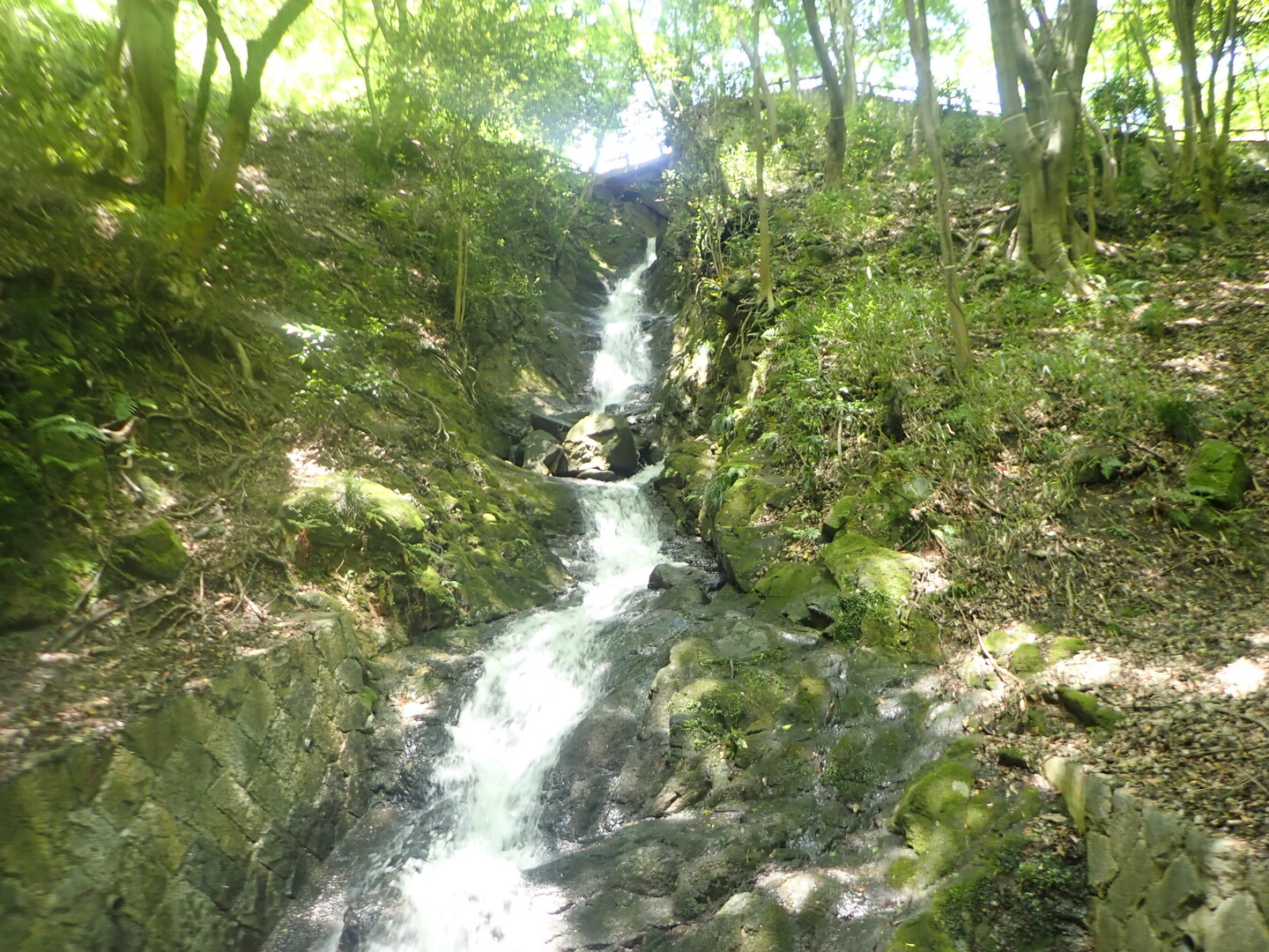 再度公園散策 ファミリーハイク みなべさんの六甲山 長峰山 摩耶山の活動データ Yamap ヤマップ