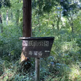 寿福寺の墓地をから源氏山に抜けたかったのですがなかなかわからず。
すると北条政子と北条実朝のお墓を見つけました。