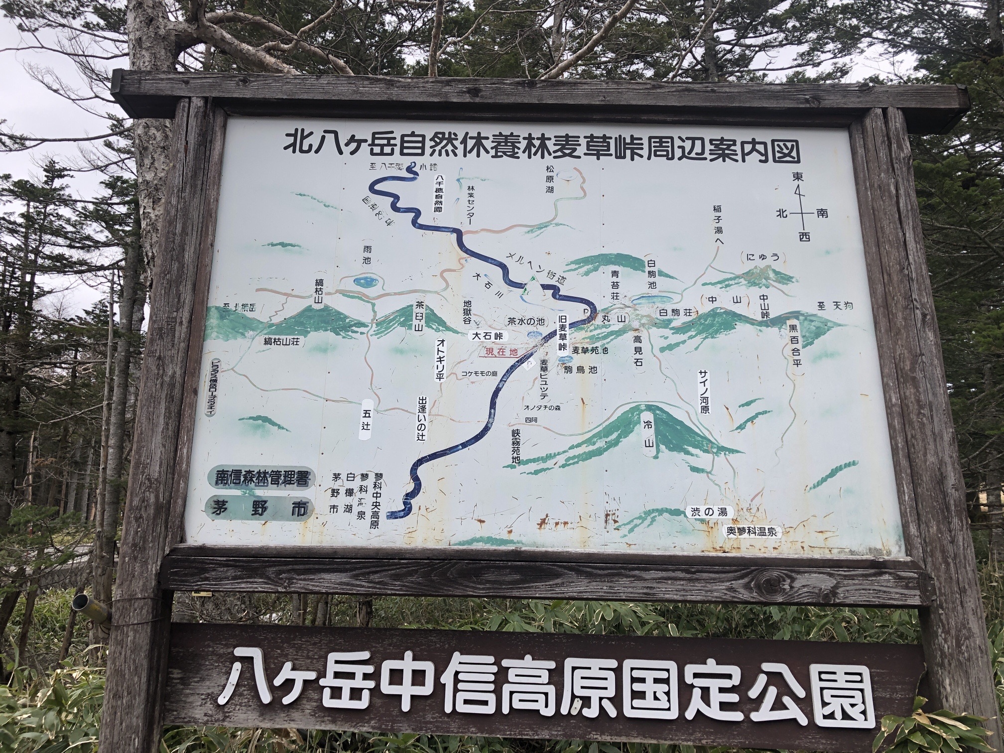 麦草ヒュッテ前、これがルート案内でも、 擦れていて、よく見えない。