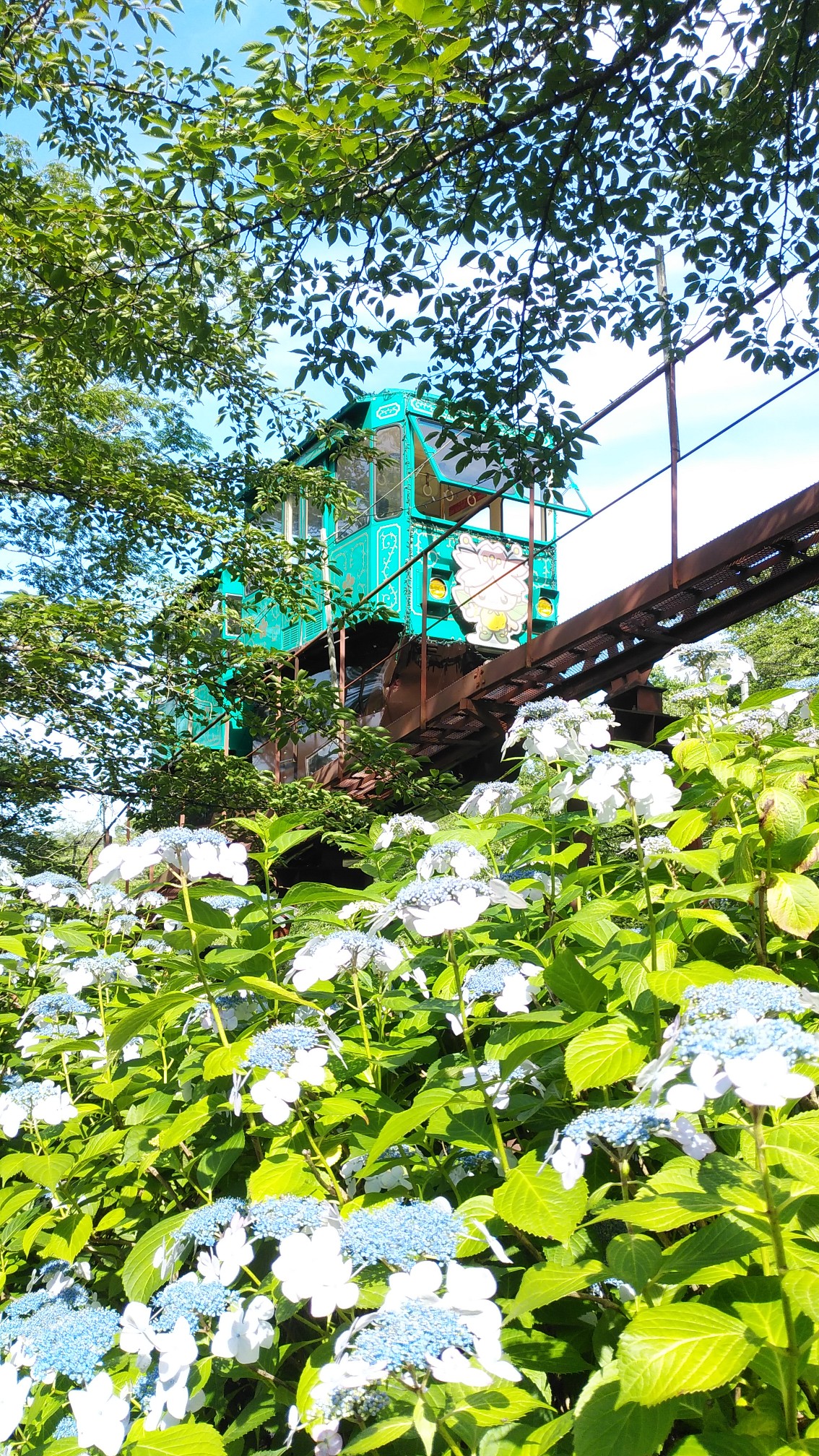 紫陽花祭り 船岡城趾公園 よしちろうさんの蔵王山 雁戸山 不忘山の活動データ Yamap ヤマップ