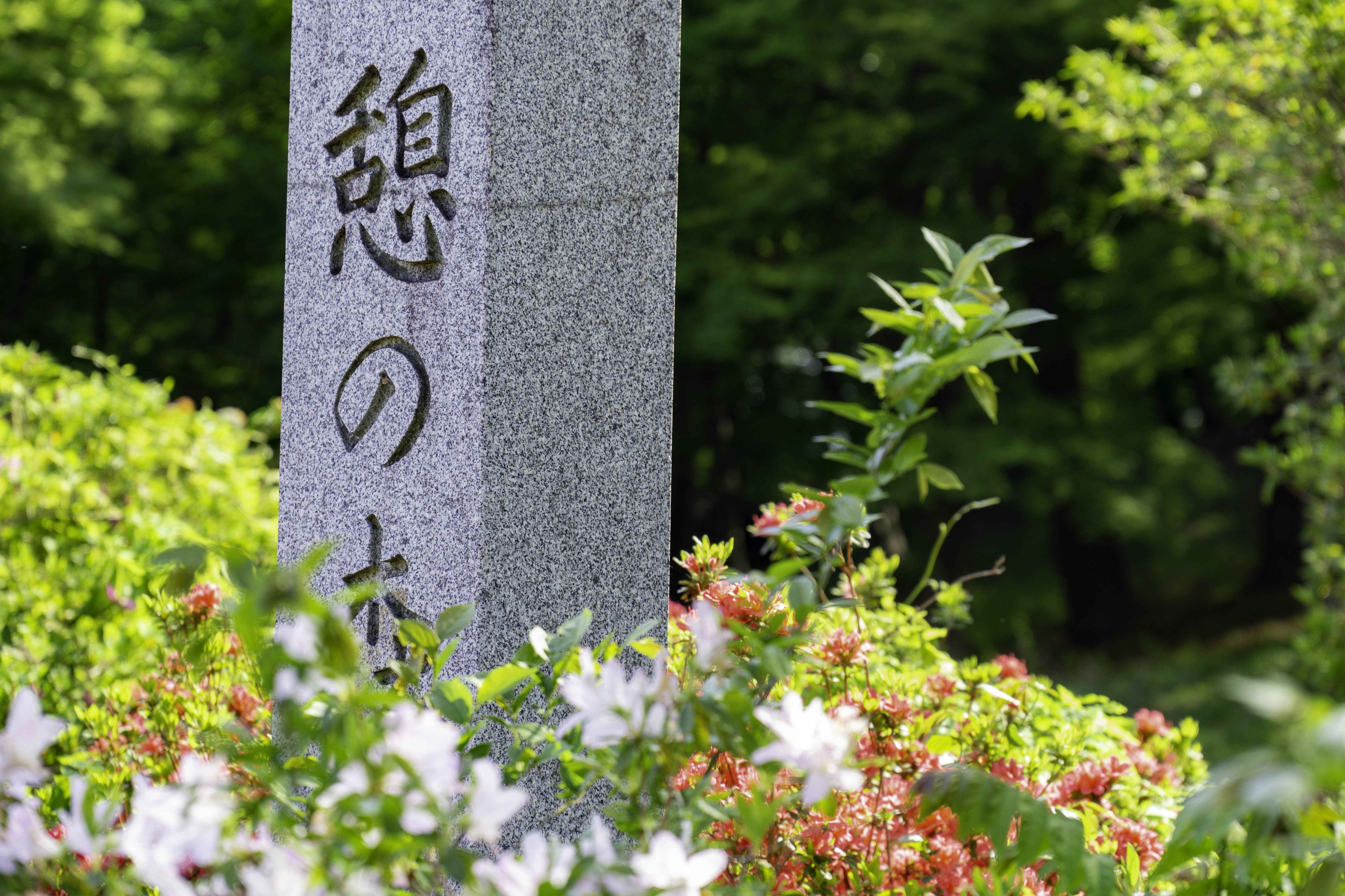 自宅から歩いて山行 ゴールデンウイークは あえて地元の山を満喫 コーちゃんさんの両崖山 仙人ヶ岳 石尊山の活動日記 Yamap ヤマップ