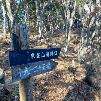 大天狗から降りて東登山道から下山