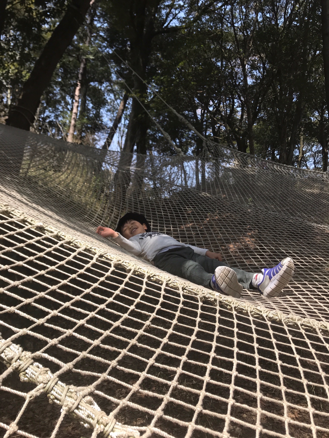 孫と再度公園クモの巣ネット かずさんの六甲山 長峰山 摩耶山の活動データ Yamap ヤマップ