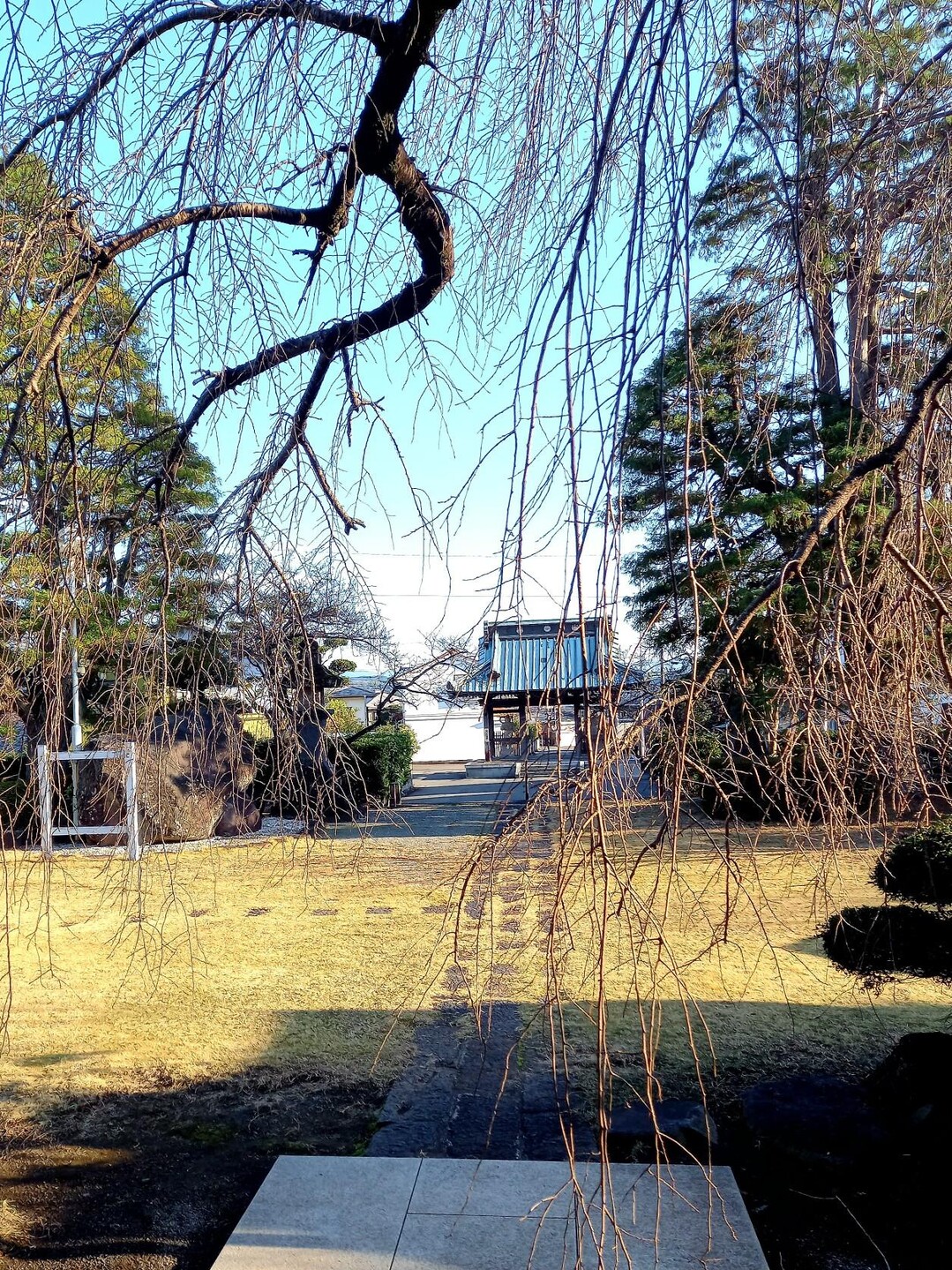 連歌師 宗祇の定輪寺参拝 2022.12.12 / 愛鷹山・大岳・黒岳の写真13枚目 / 本堂から山門を望む YAMAP / ヤマップ