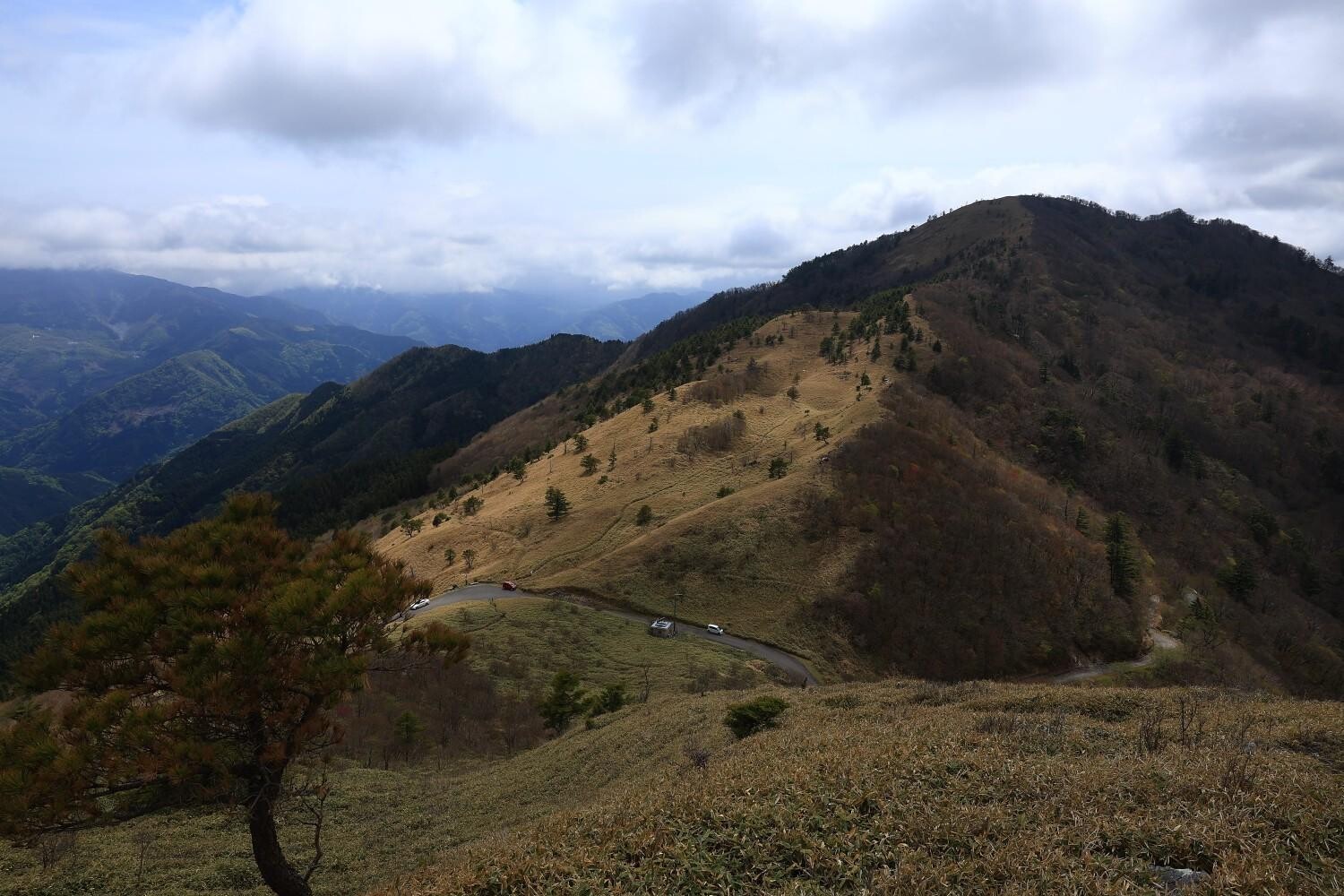 落合峠→矢筈山→サガリハゲ山→落合峠 / らまラマさんのウォーキングの活動データ YAMAP / ヤマップ