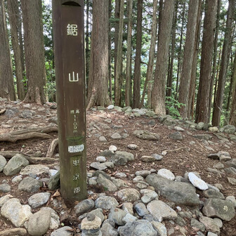 ベンチあったよ
