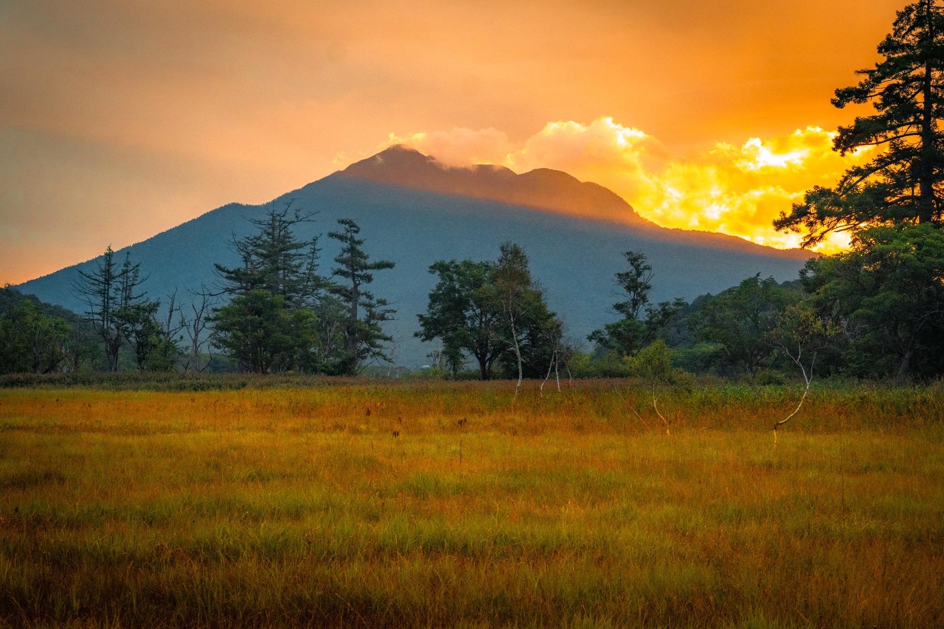 P15「尾瀬ヶ原（朝）」1992 油絵 油彩画 絵画 アート 風景画 至仏山