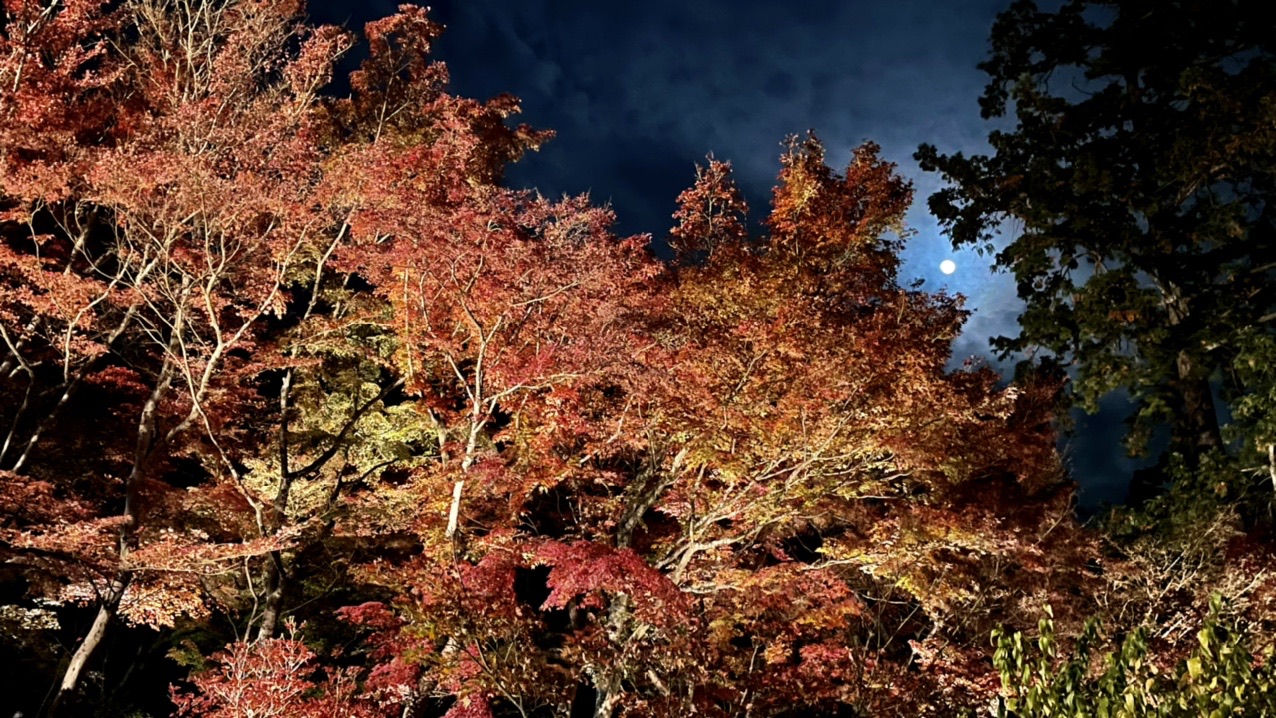 21 24 ライトアップ 撮影 筑波山 まこスケさんの筑波山の活動データ Yamap ヤマップ