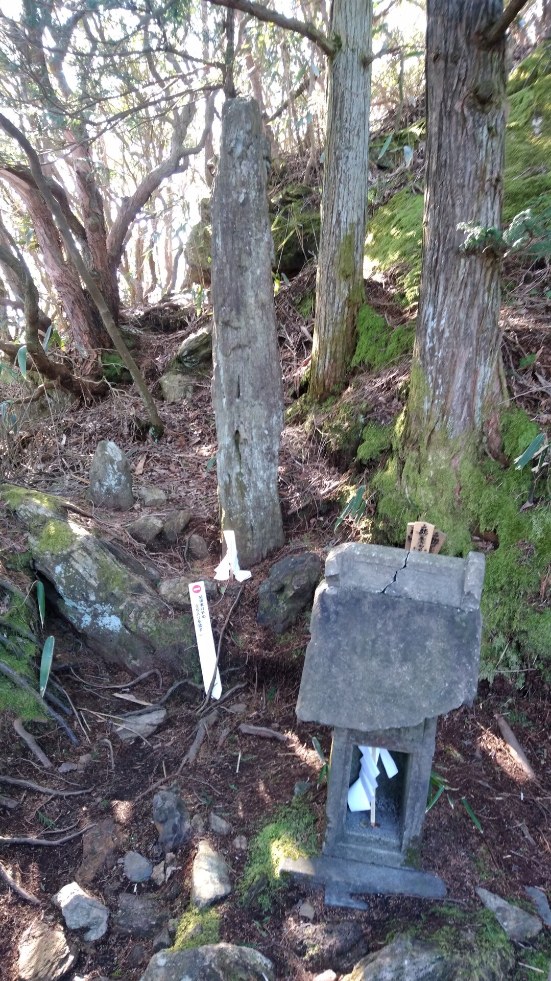 御岩神社 03 19 日立アルプストレイル 神峯山の写真25枚目 嘘か本当か 宇宙飛行士が見たという光の柱 Yamap ヤマップ