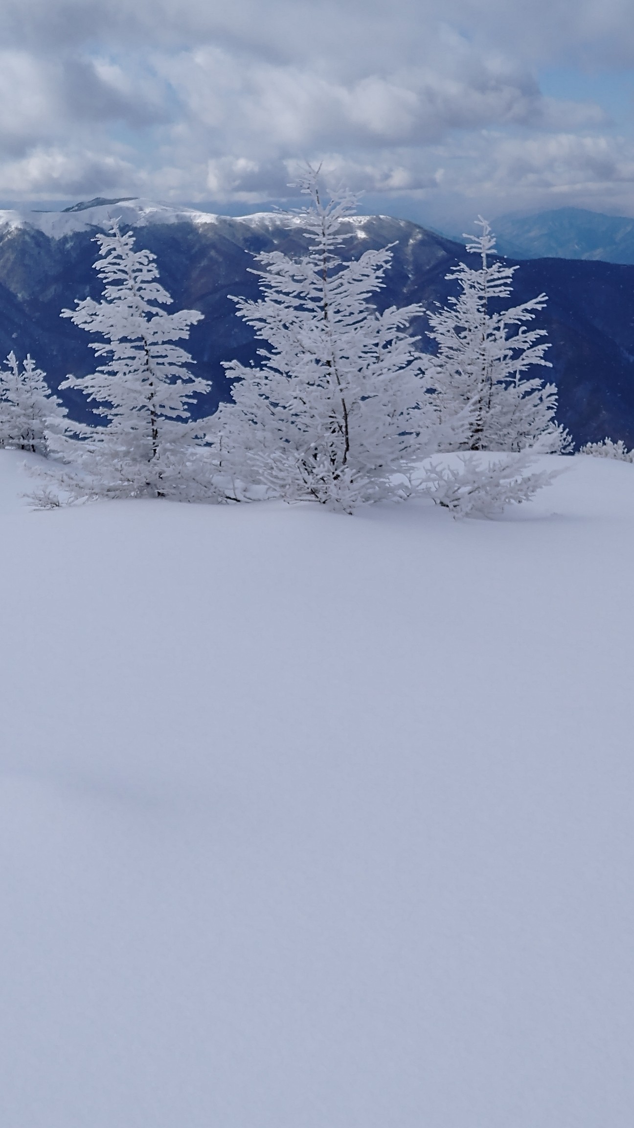 美ヶ原雪モフ散策 02 09 Issuiさんの美ヶ原の活動データ Yamap ヤマップ