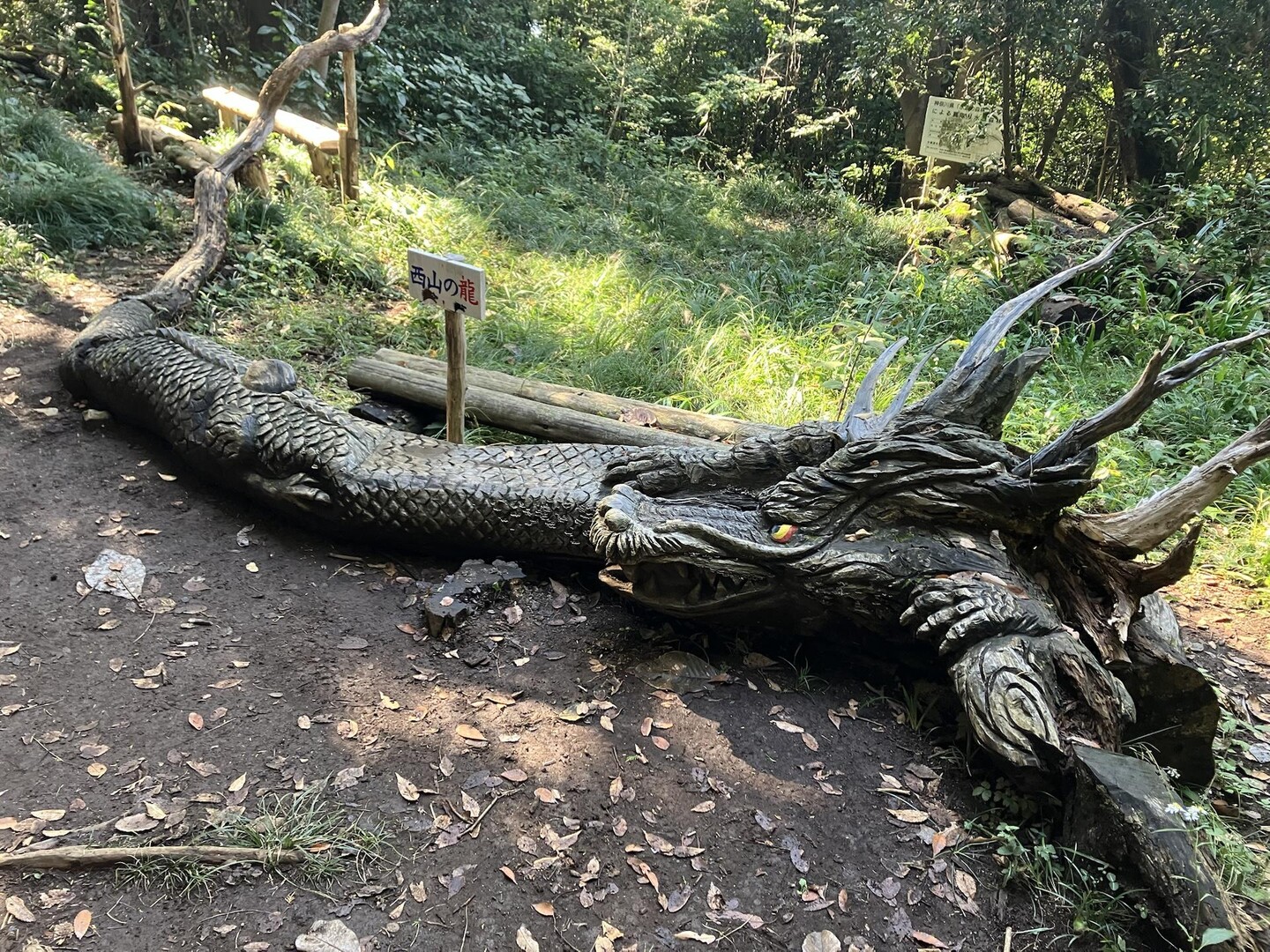 流木 自然な形状 ダークブラウン