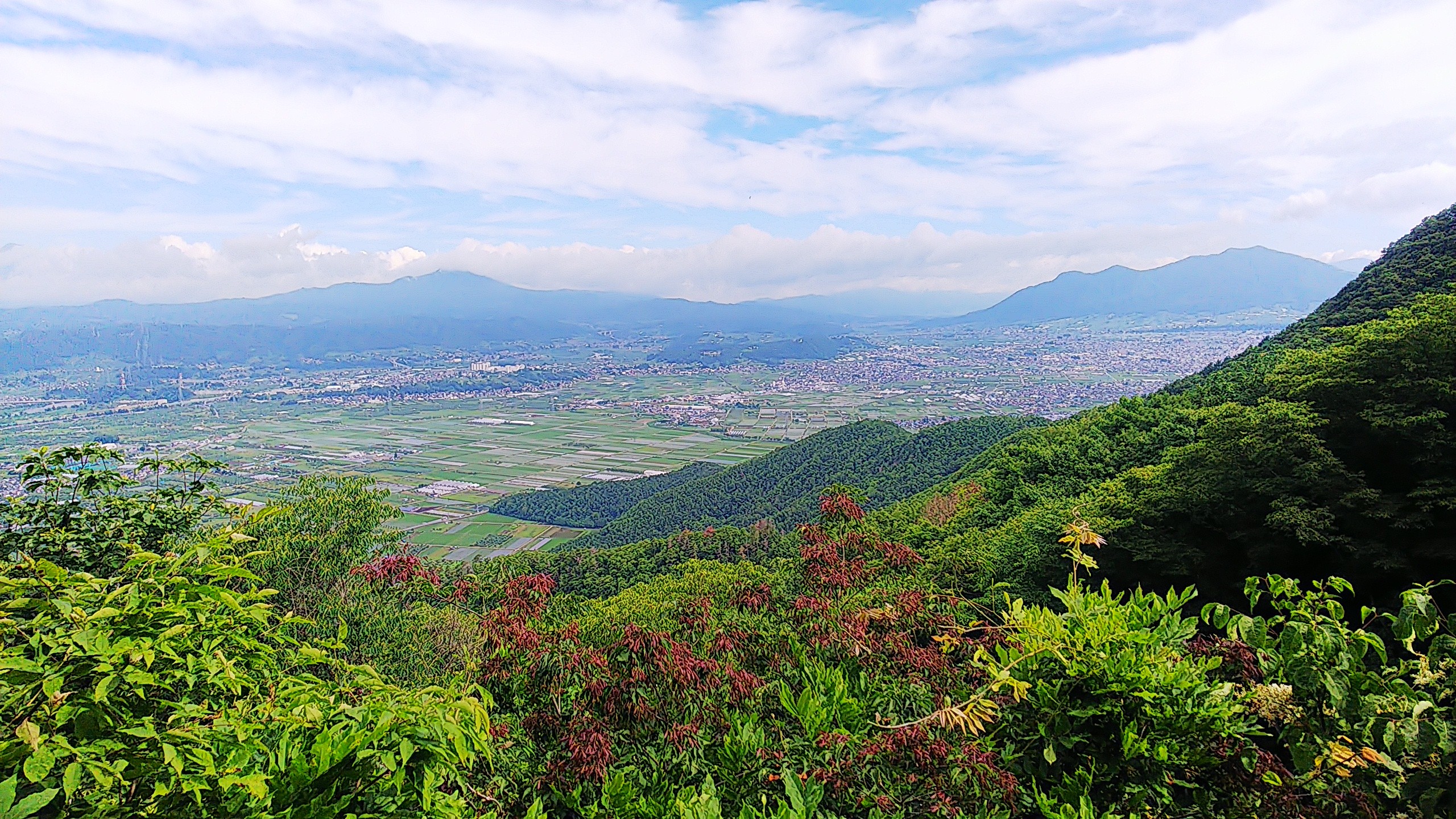 雁田山 屠屋場山 岩松院から 里芋さんの雁田山 長野県小布施町 の活動データ Yamap ヤマップ