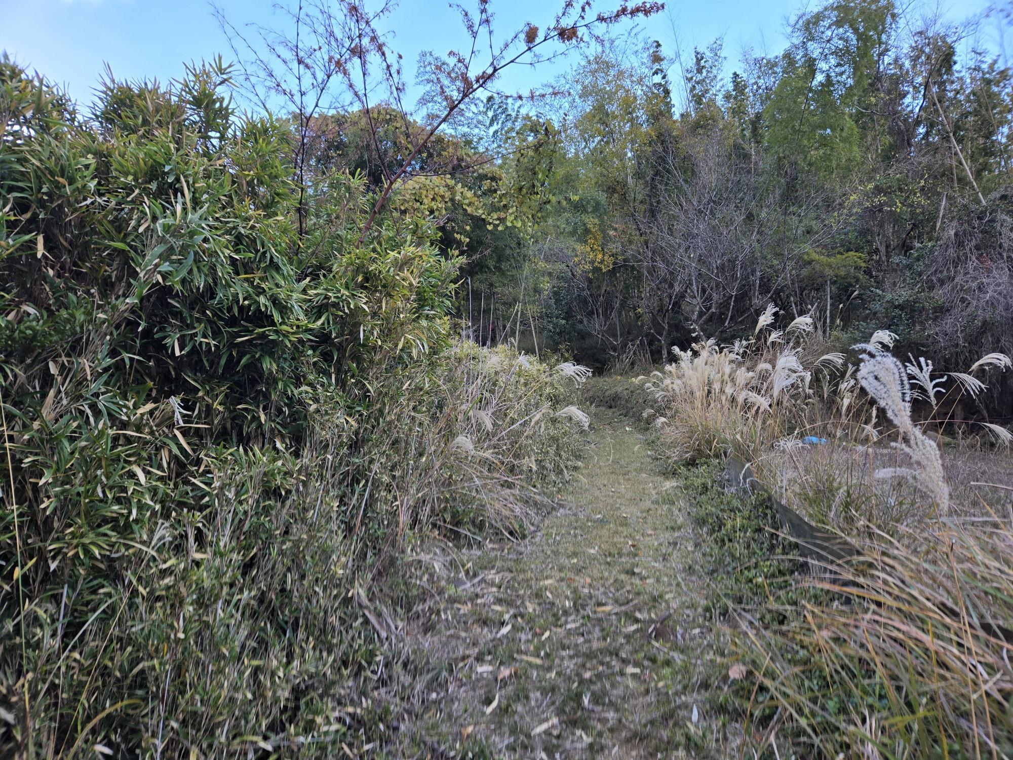 三輪山・巻向山・龍王山 振り返る❗。