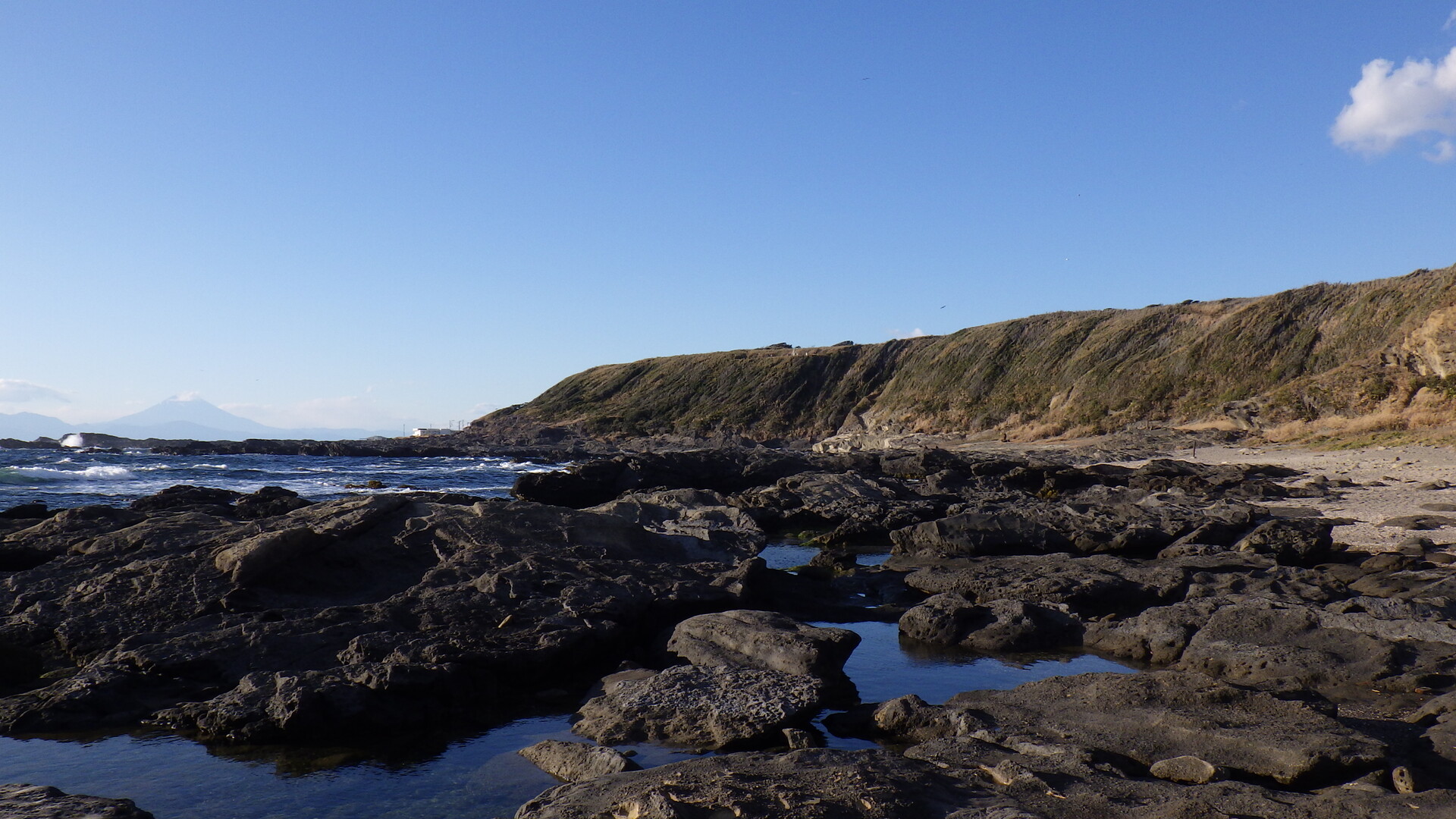 荒崎海岸 三崎口駅 荒崎海岸 潮騒のみち 荒崎バス停 みれちゃんさんの大楠山 武山 三浦富士の活動日記 Yamap ヤマップ