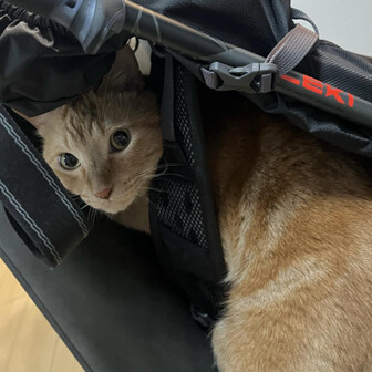 田舎っ子 │ inakakko