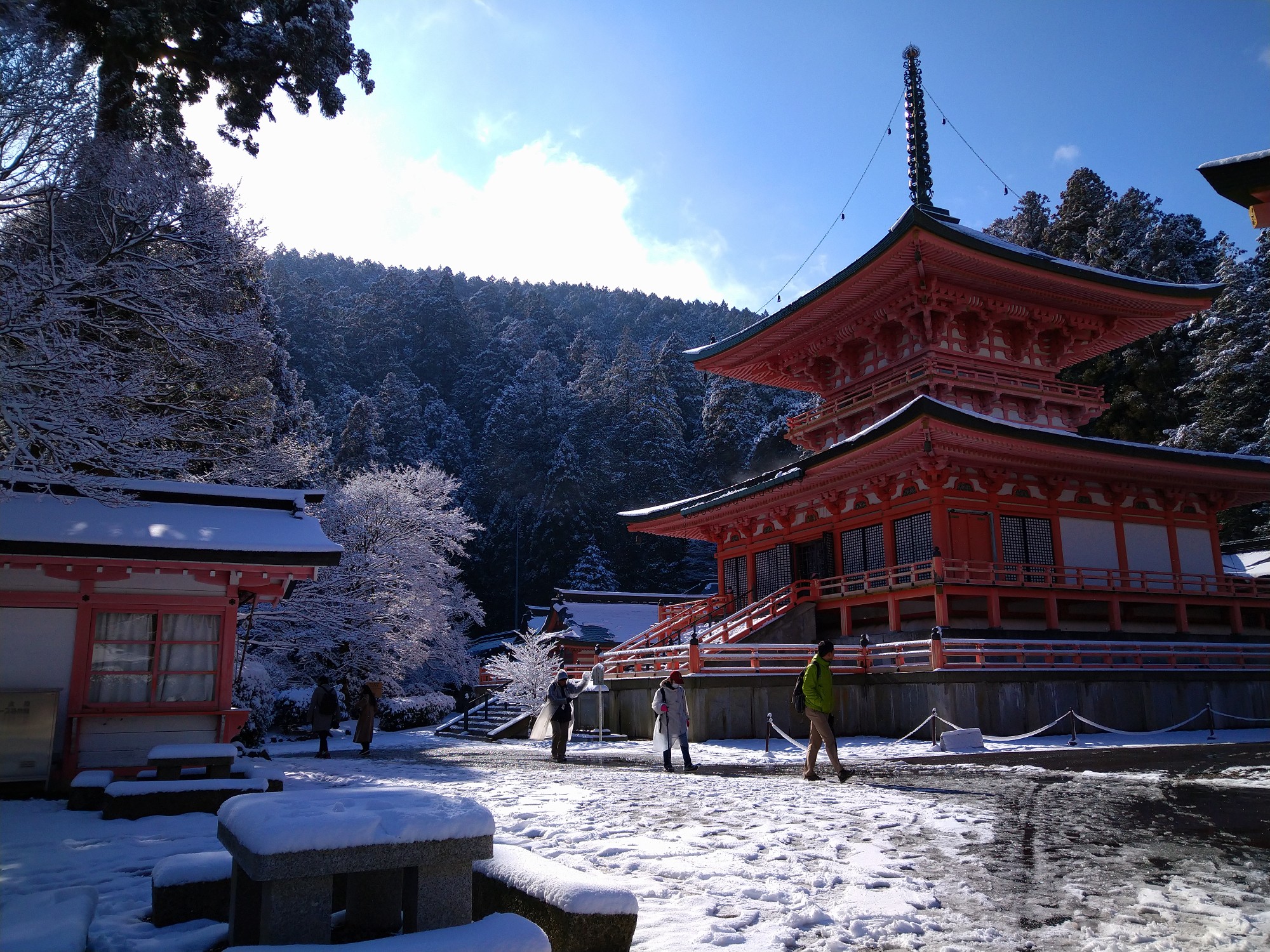 初登り は雪の比叡山 01 05 Shinko山々さんの比叡山 横高山 梶山の活動データ Yamap ヤマップ