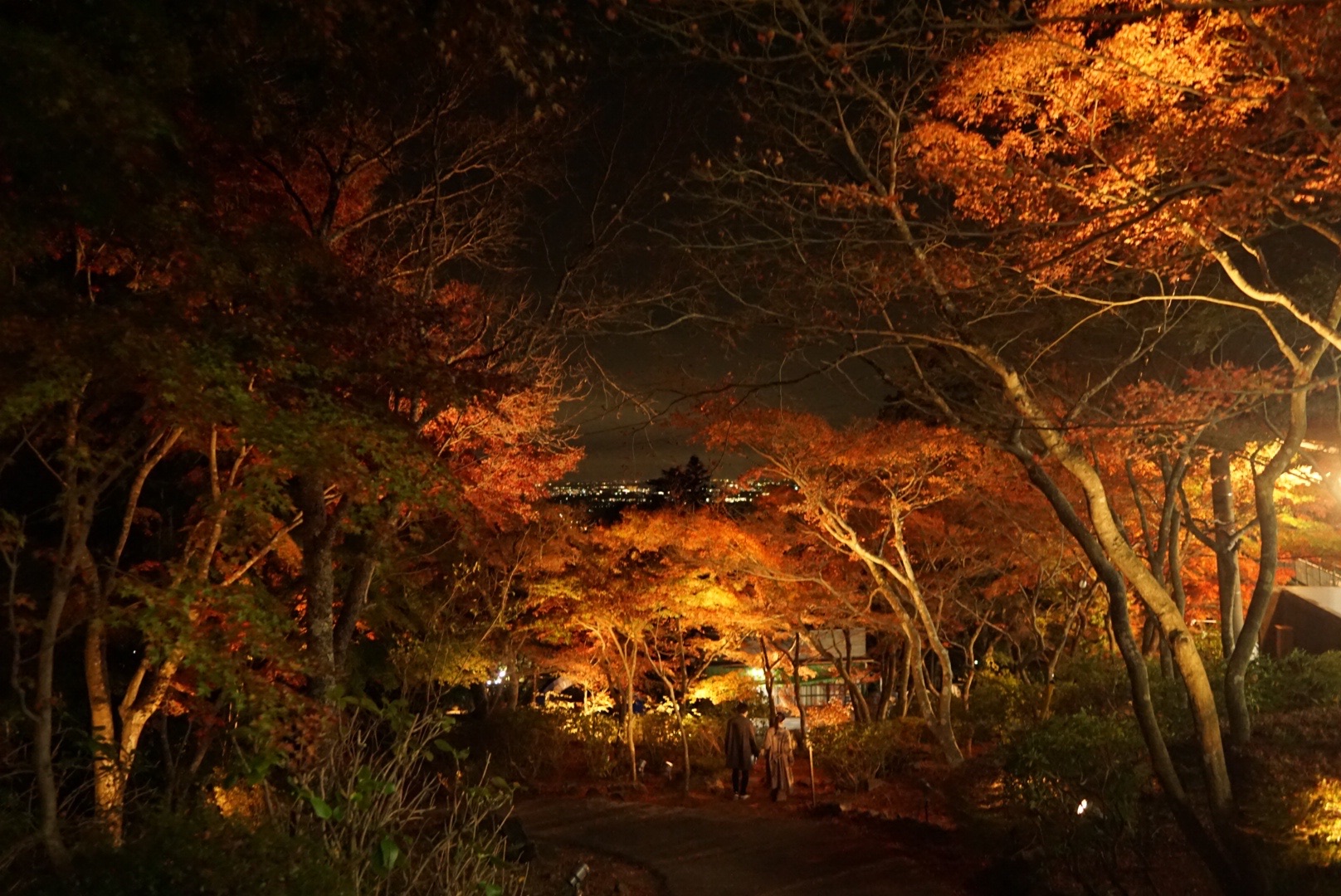 お写ん歩 筑波山もみじまつり みずほさんの筑波山の活動データ Yamap ヤマップ