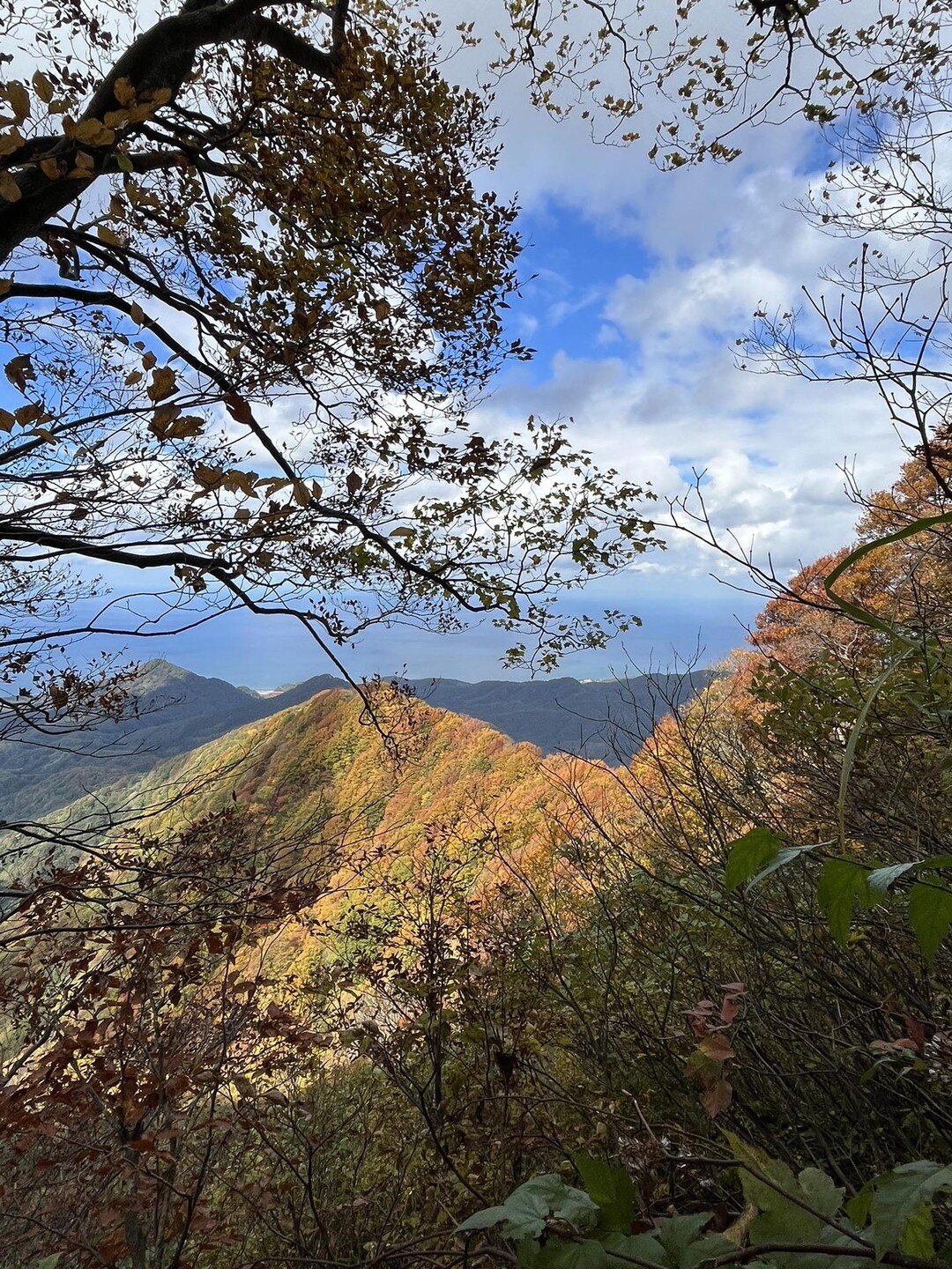 米山 ︎お久しぶりの米山さん / makiさんの米山の活動データ YAMAP / ヤマップ