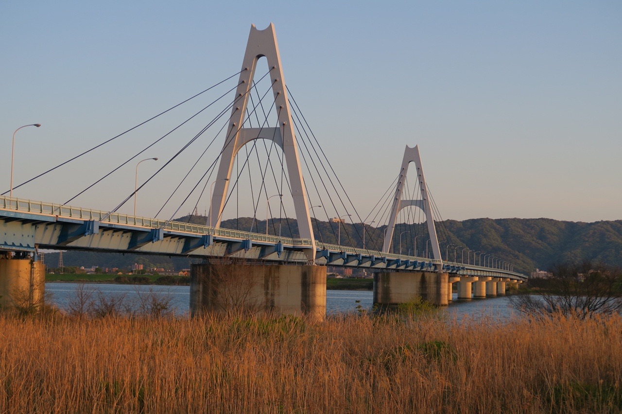 四国三郎橋を散歩 はなこさんの四国遍路その1の活動日記 Yamap ヤマップ